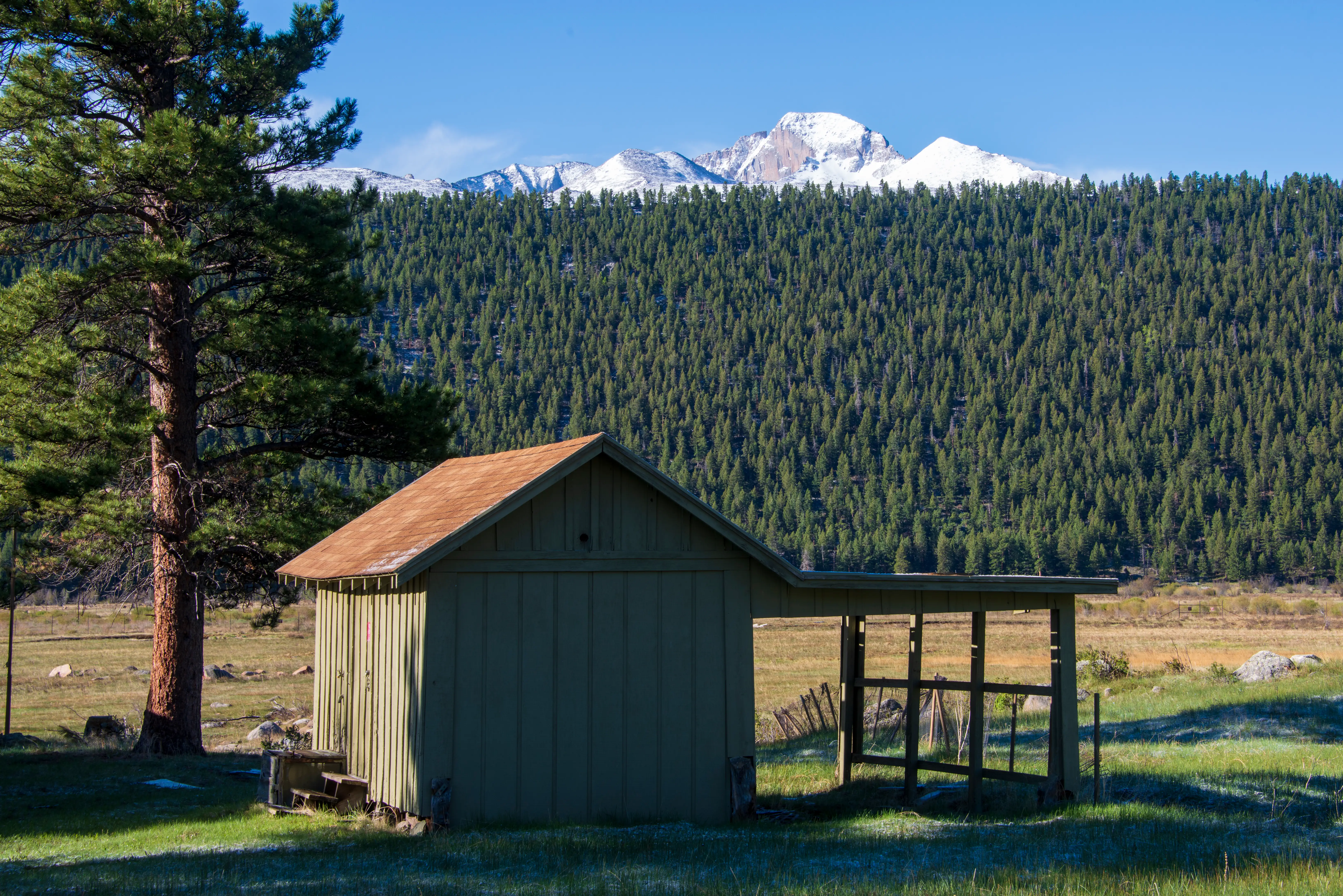 Small green shed stands beside a pine tree with dense forest and snow-capped mountains in the background.