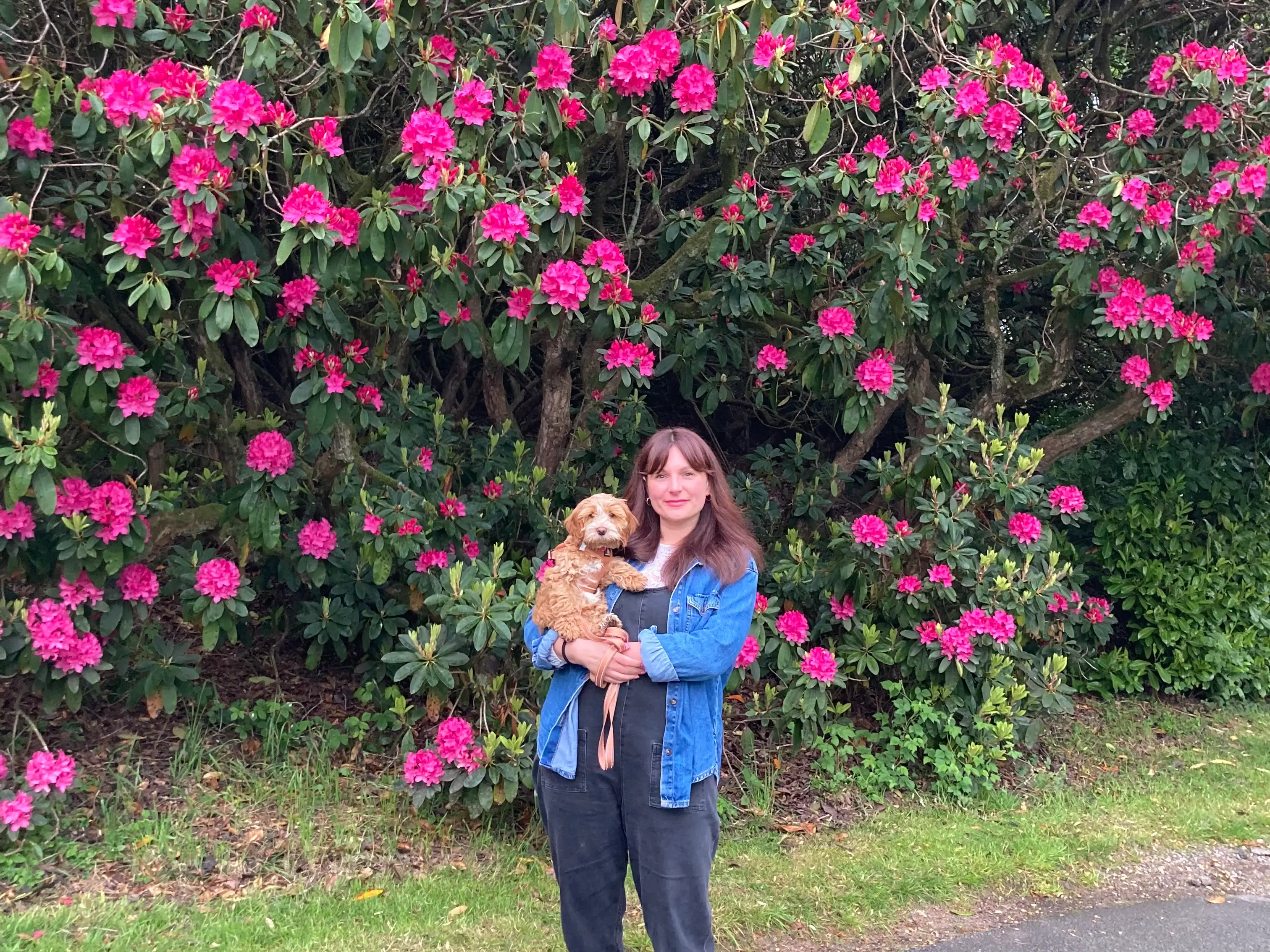 Woman holding dog