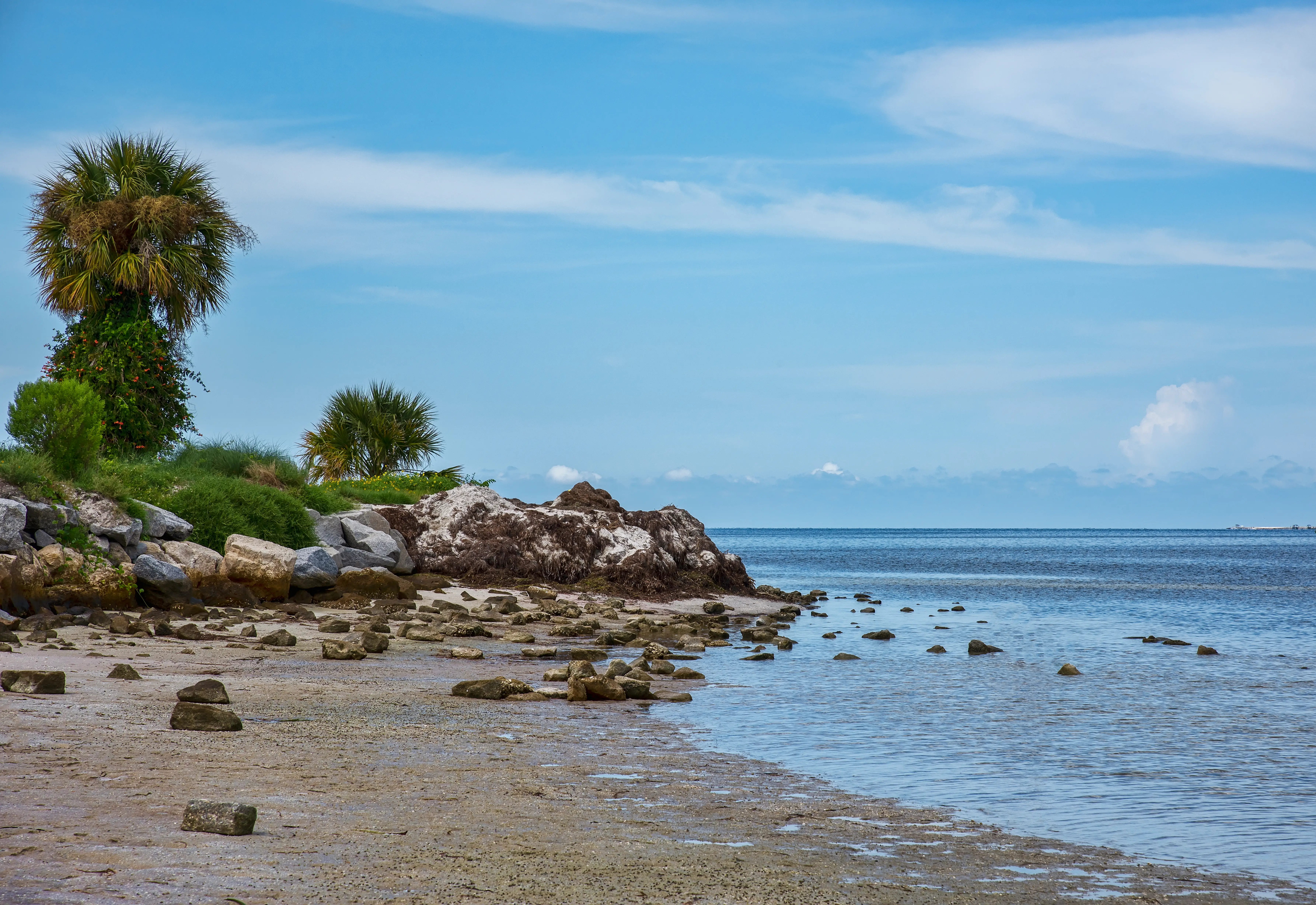 Beach coastline of Fred Howard Park, Florida and the Gulf of Mexico waters.