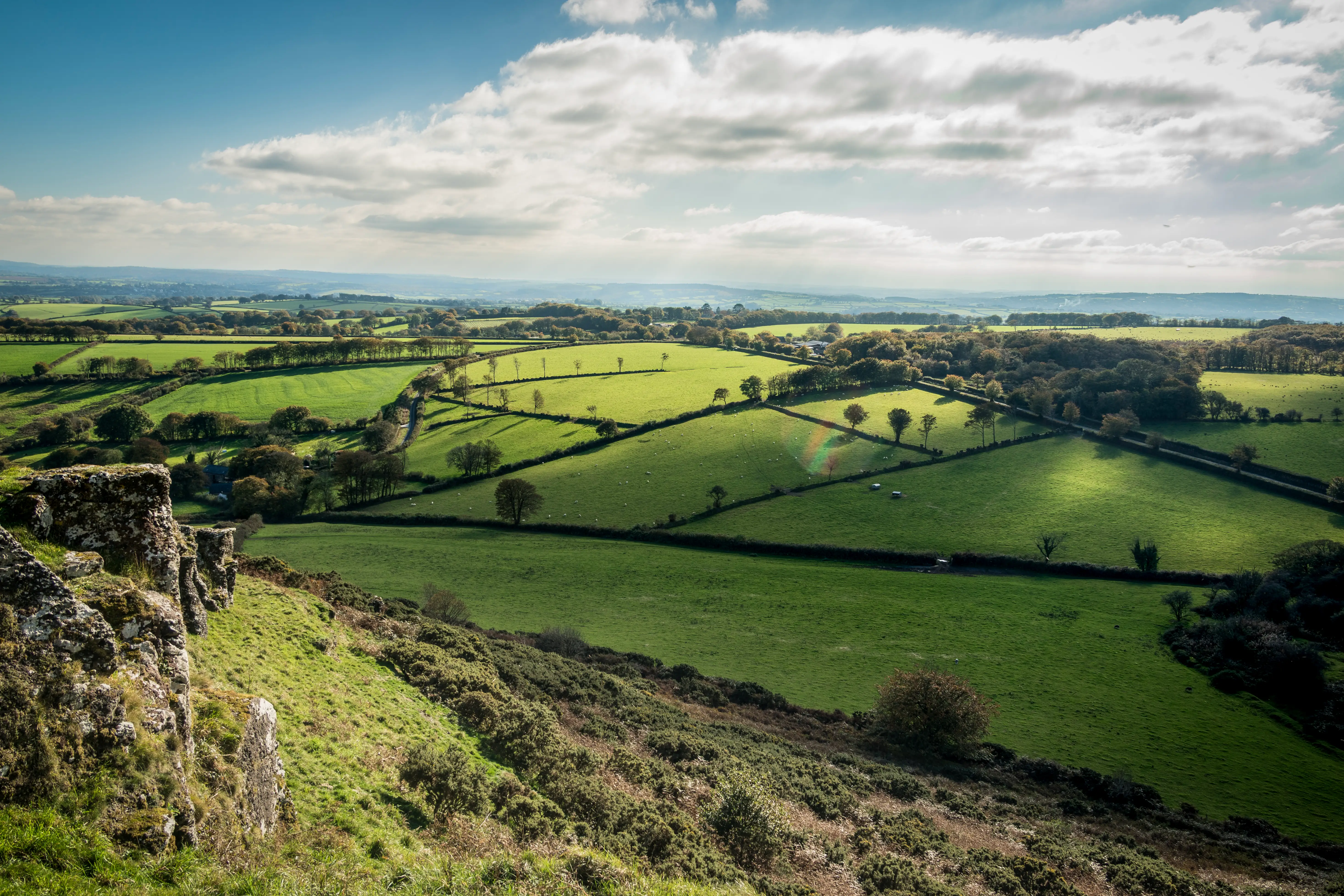Aerial view of greenery, trees in Devon, UK