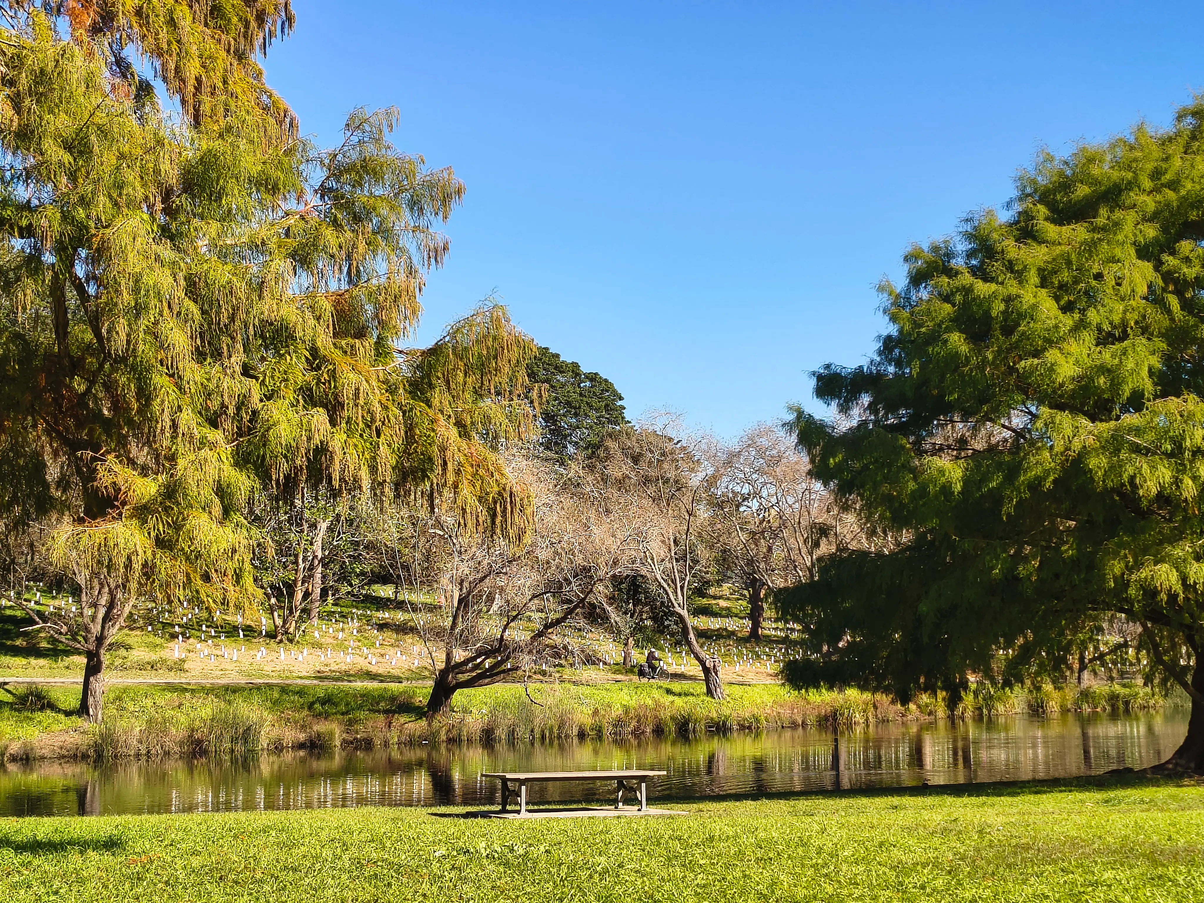 A park bench faces a reflective pond bordered by trees and a hillside with small white markers.