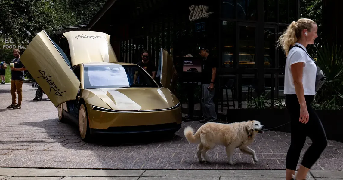 Elon Musk says Tesla is trying to prevent robotaxis from running over cats at night