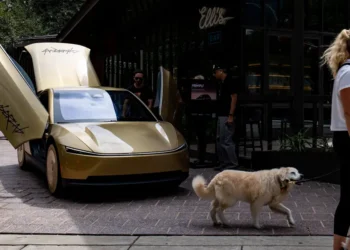 Elon Musk says Tesla is trying to prevent robotaxis from running over cats at night