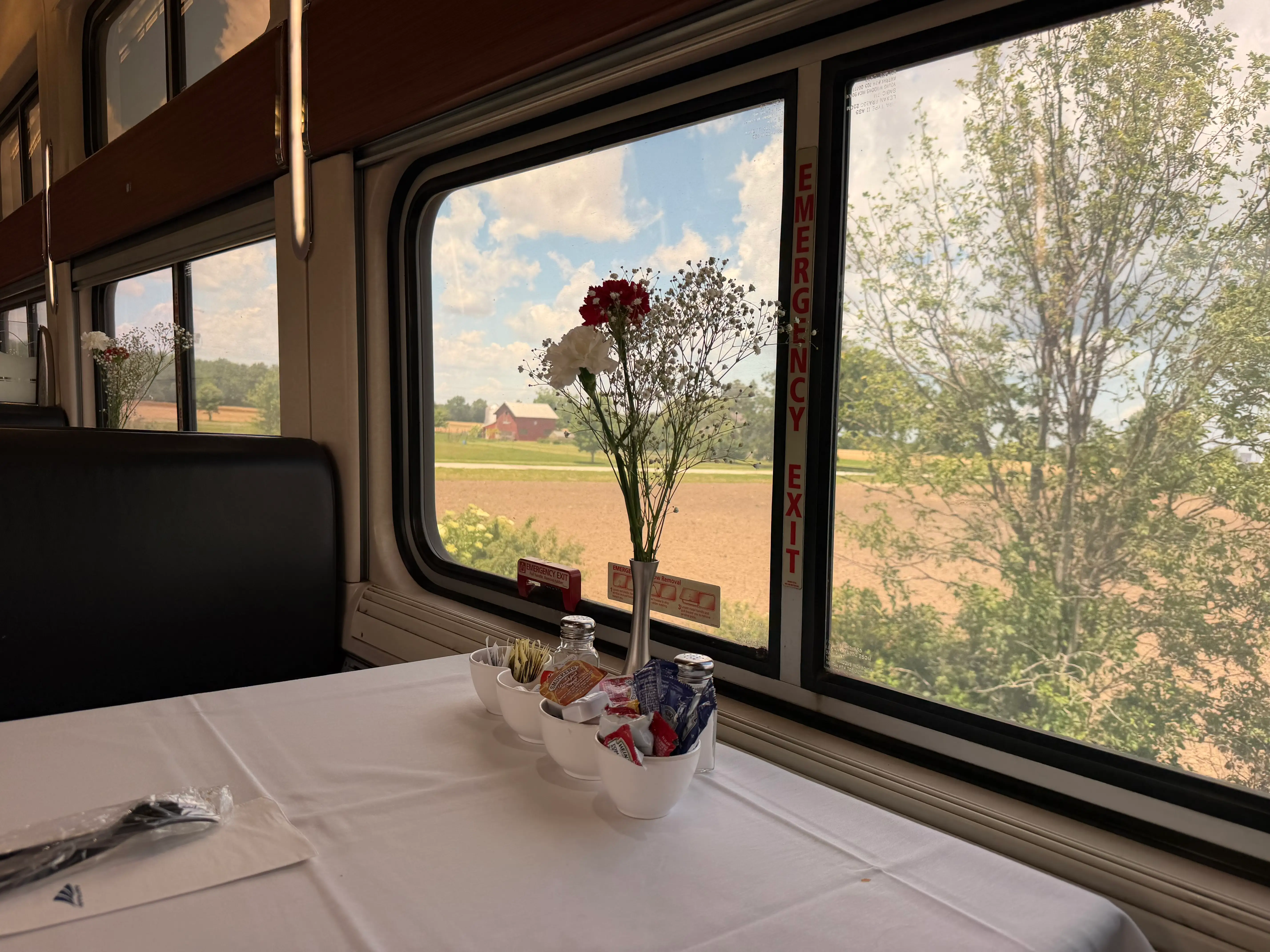 View from Amtrak private dining car