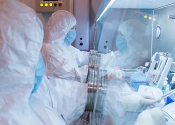 Everything we know about the suspected plague case in Russia so far