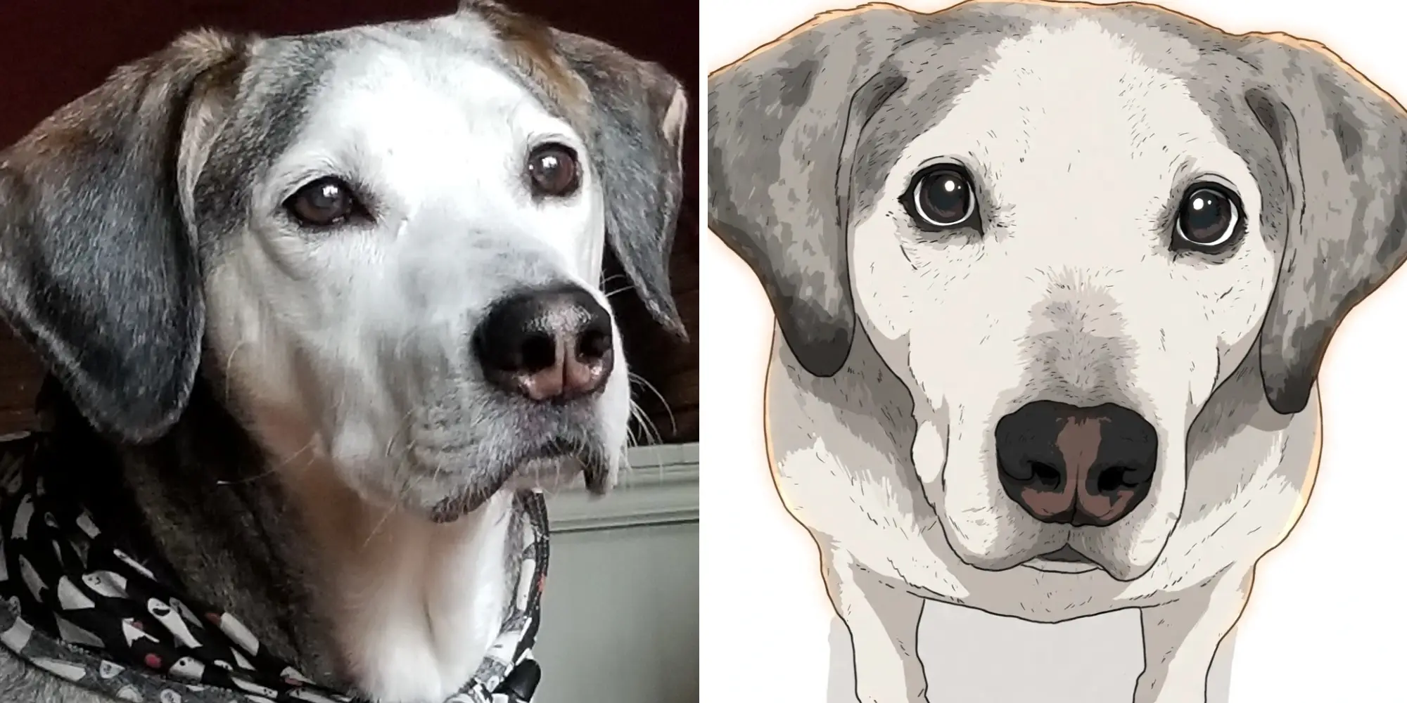 Side-by-side comparison of a gray-and-white dog photograph and a stylized digital illustration of a similar dog.