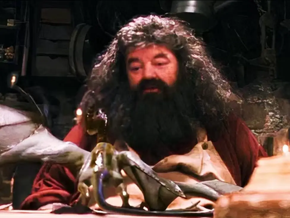 hagrid and nobert
