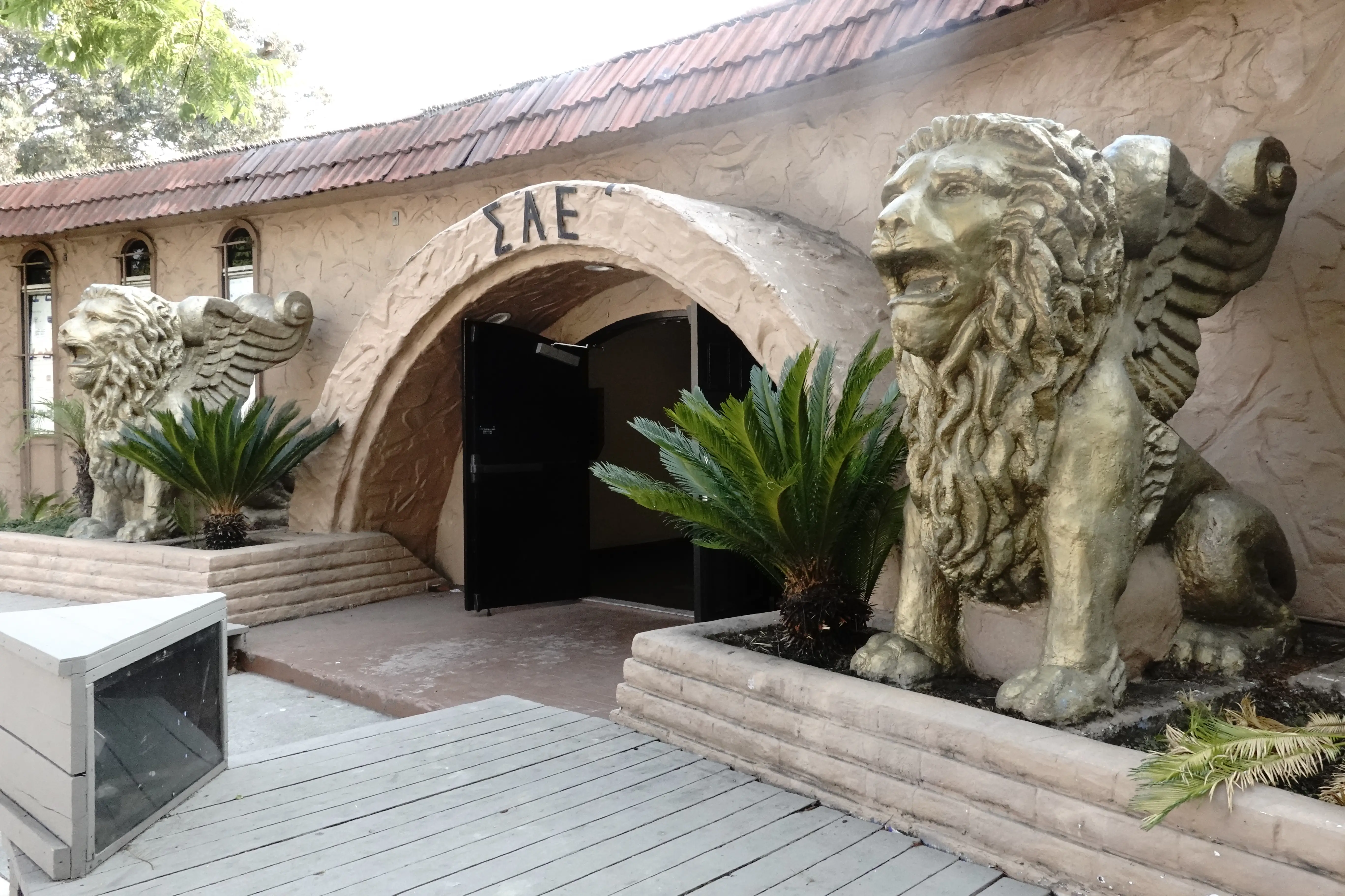 Entrance to a ΣΑΕ building with winged lion statues, potted cycads, and an open doorway.
