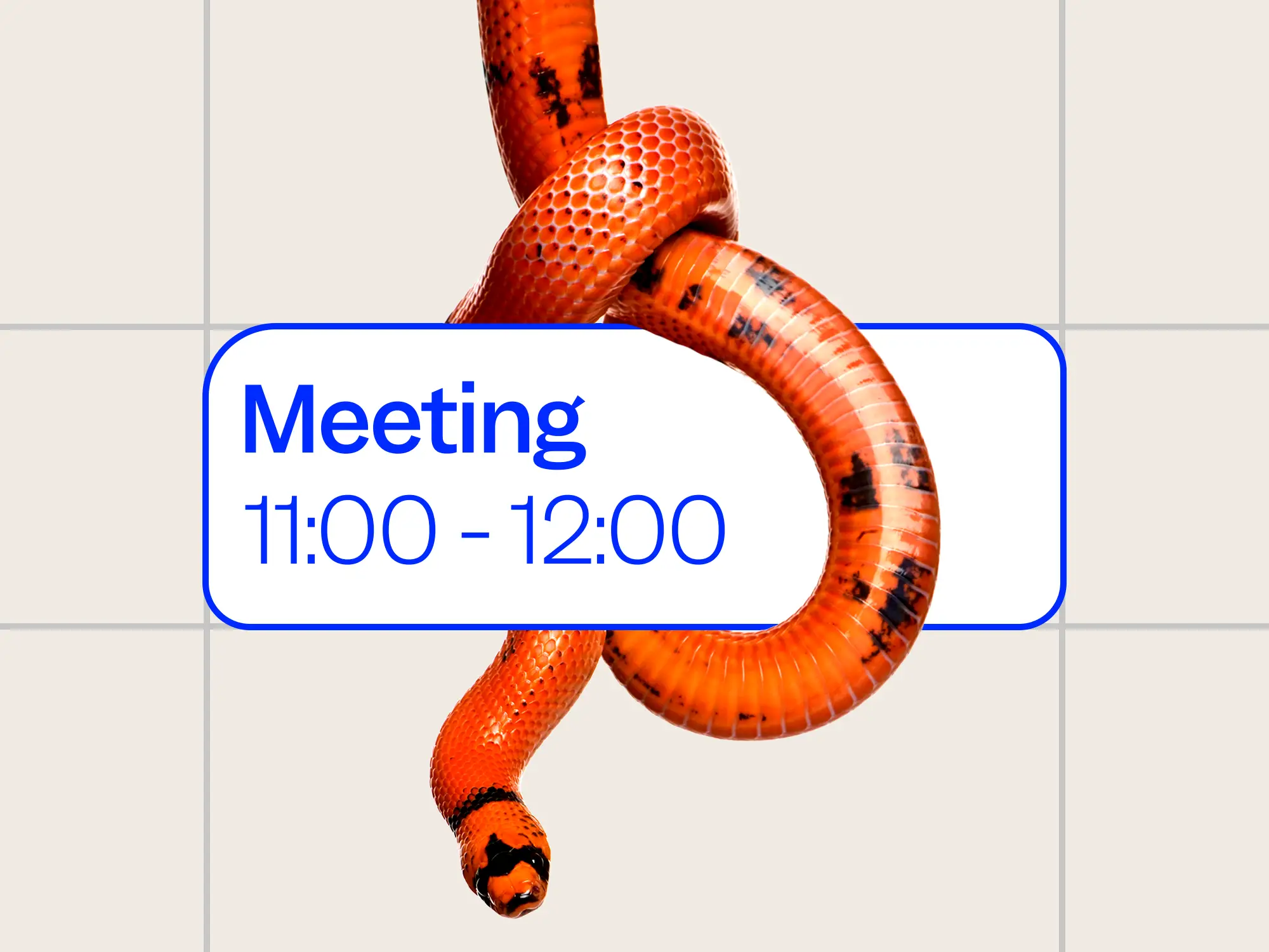 Orange snake coils around a calendar event card labeled “Meeting” from 11:00 to 12:00.