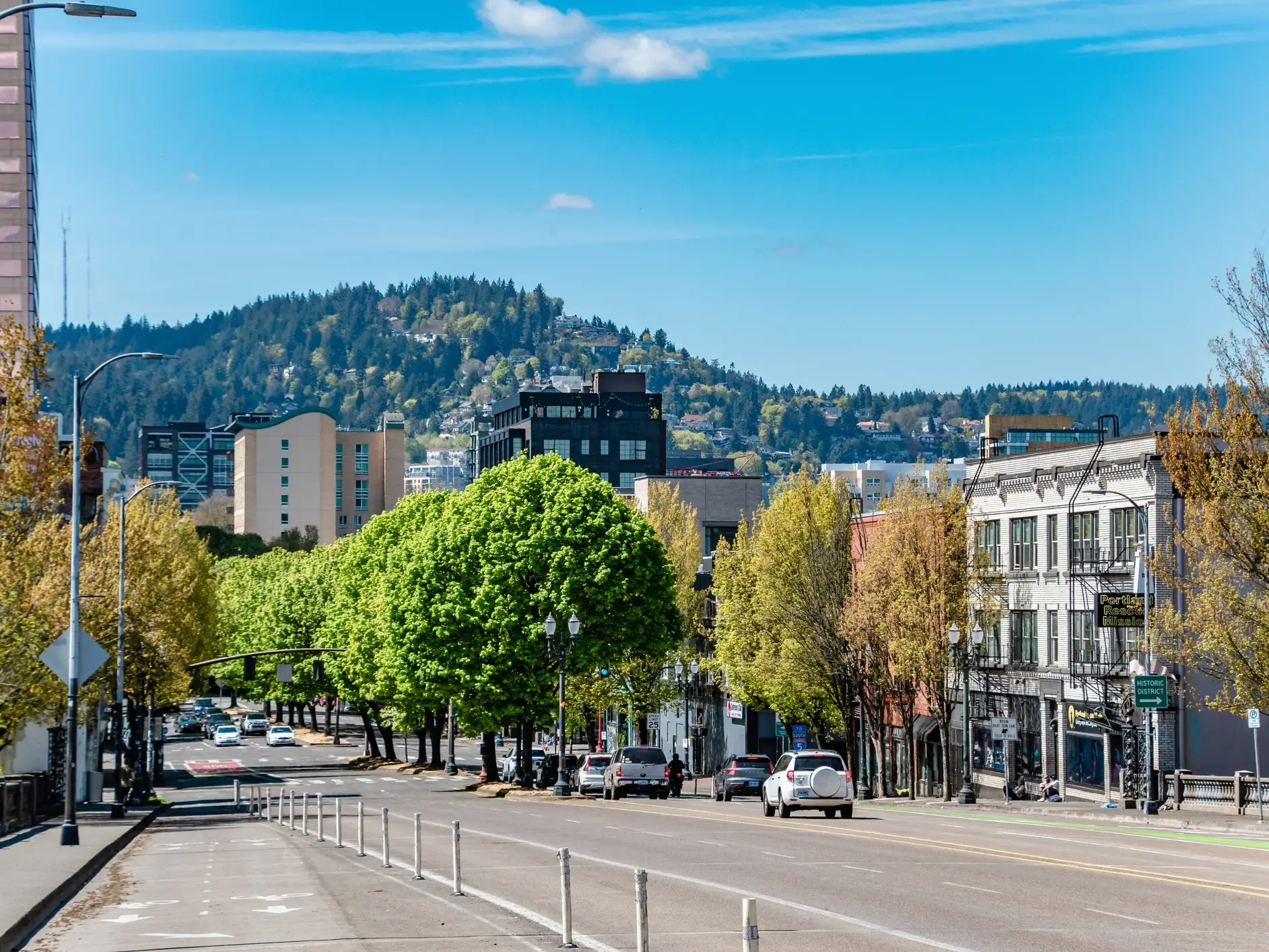 Tree-lined urban street with cars, storefronts, and a forested hill under a bright blue sky.