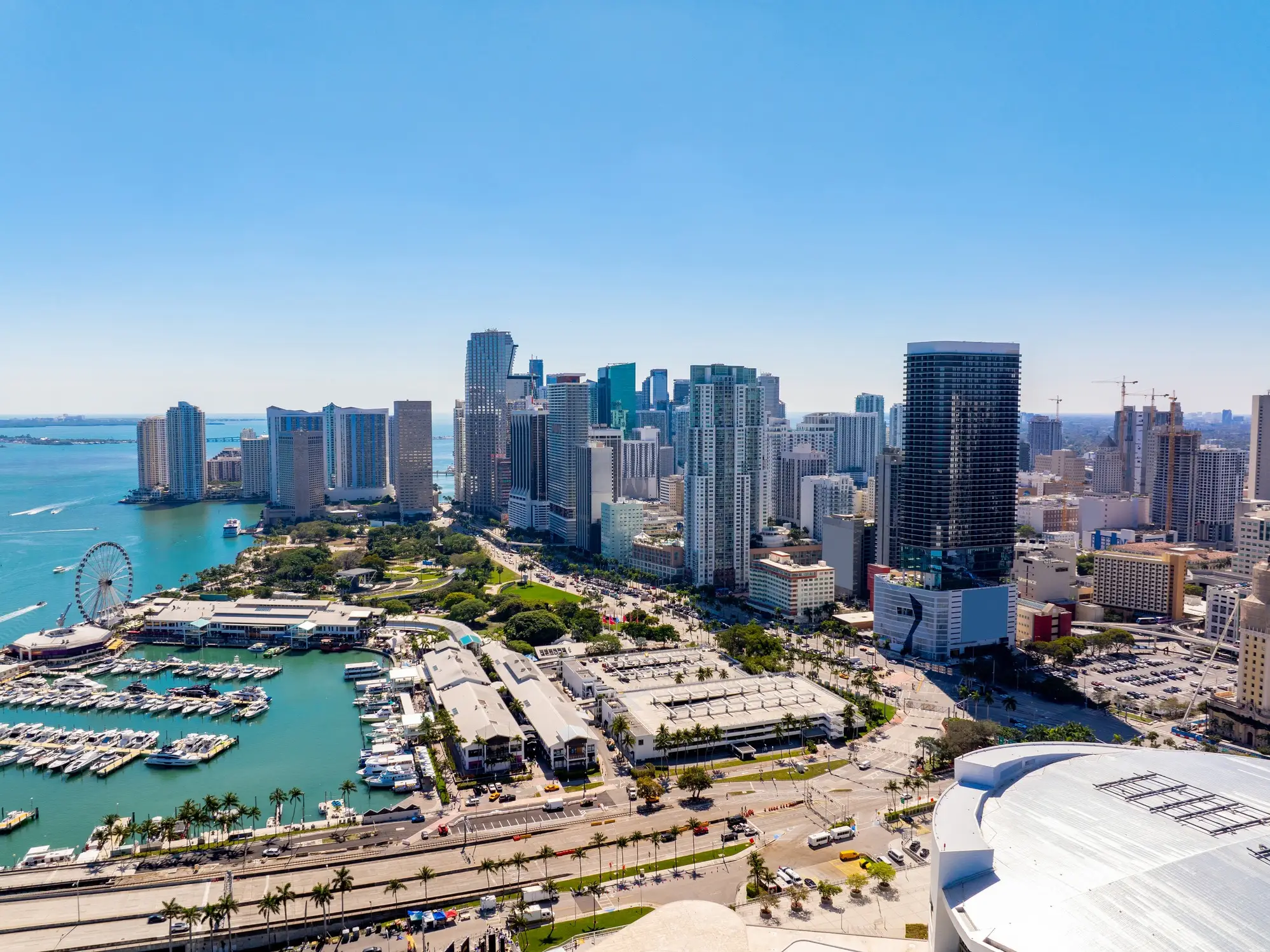 Downtown Miami high-rises overlook Biscayne Bay, a marina, waterfront park, and observation wheel under a clear sky.