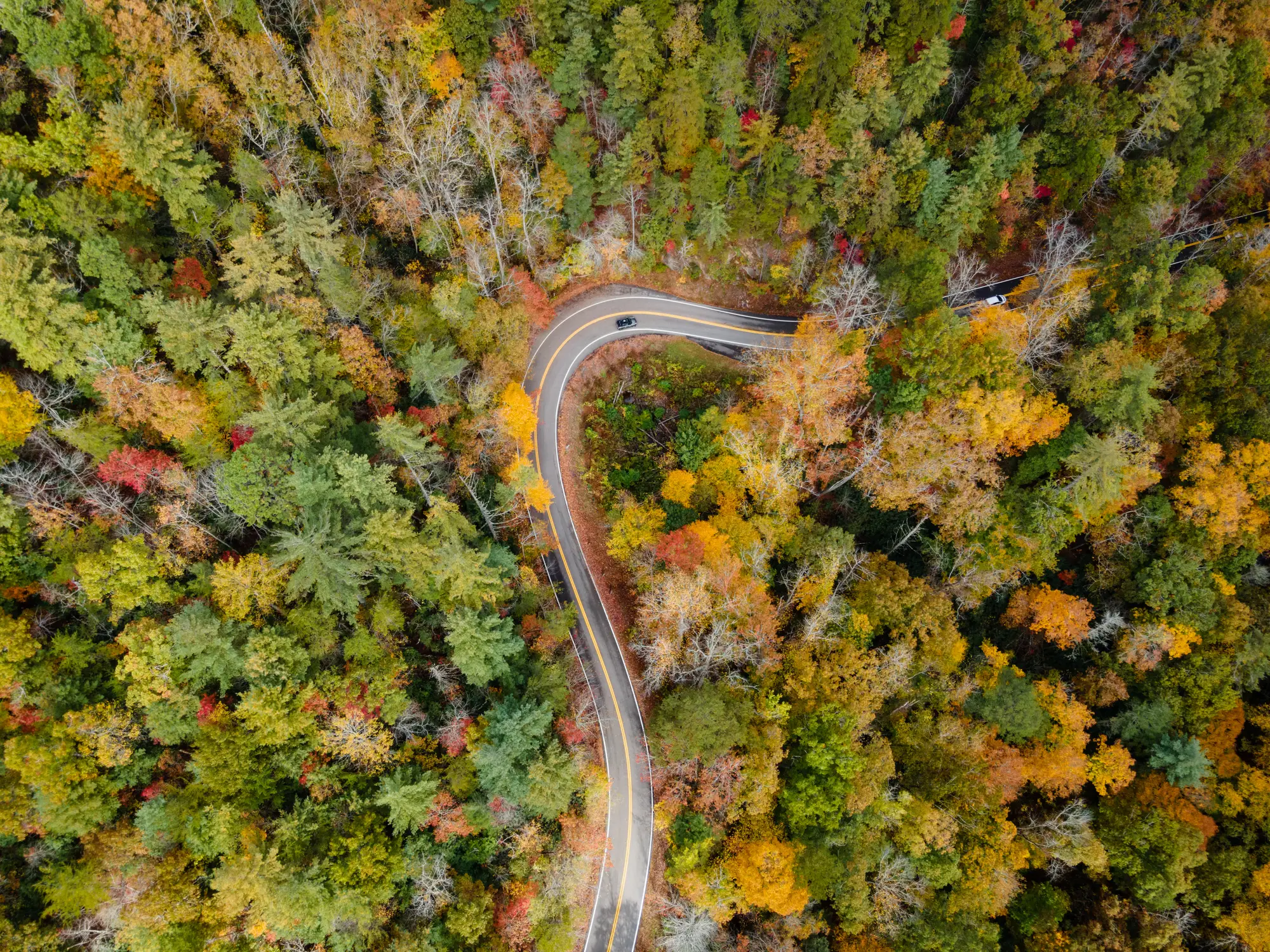 Aerial View of the Tail of the Dragon road near the Tennessee and North Carolina border in the Smoky Mountains in the fall.