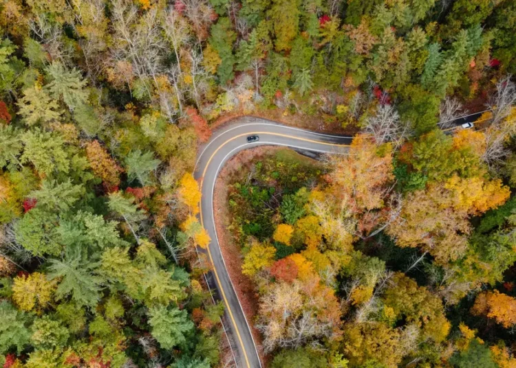 States with the best and worst road quality, ranked