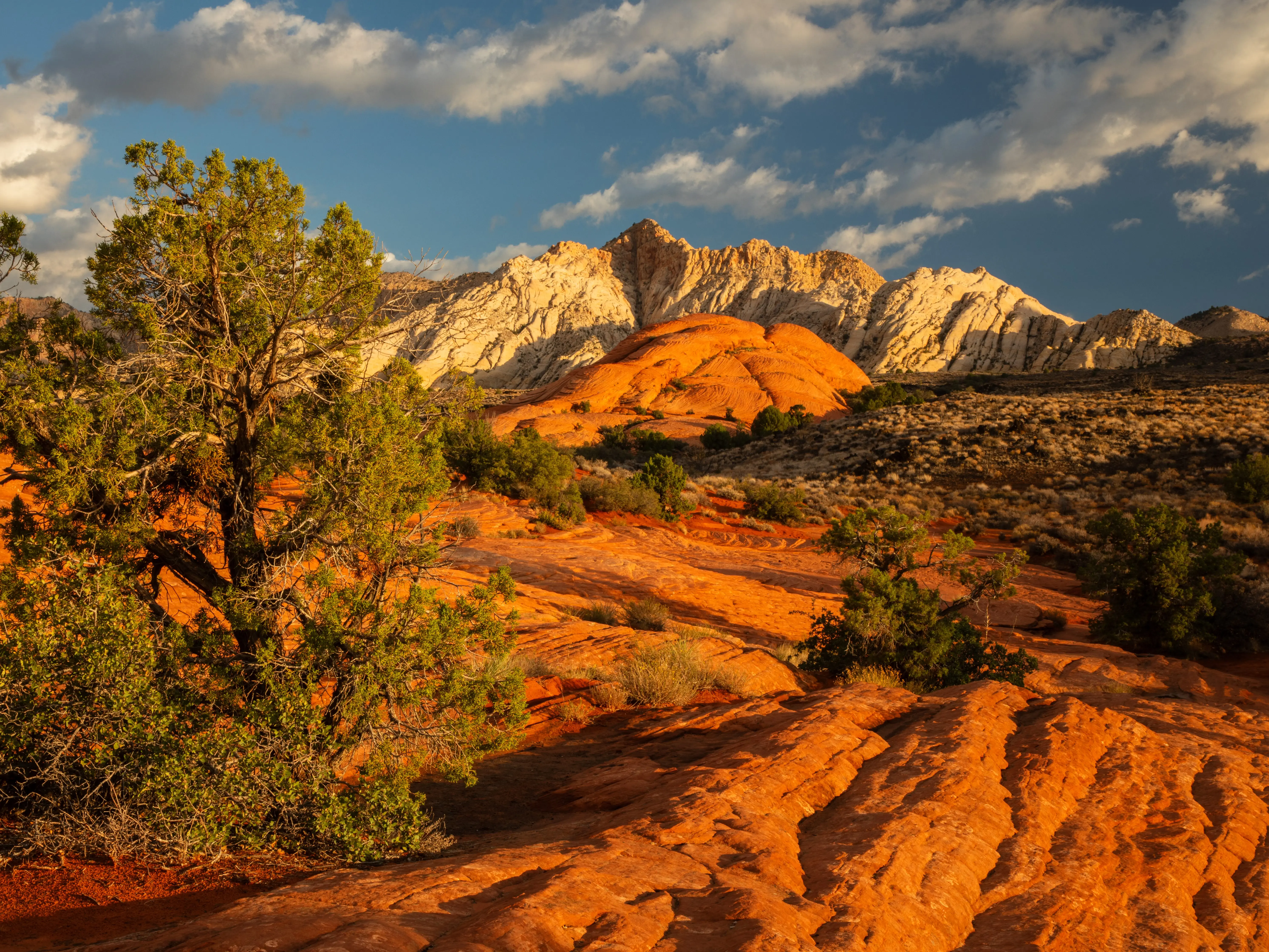 A red sandstone desert landscape with green shrubs and pale rocky mountains is set under a partly cloudy sky at Snow Canyon State Park in Utah.