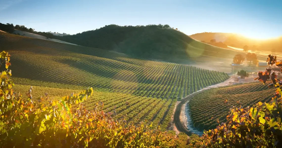 My favorite hidden gem in California has incredible food and wine — and it’s more affordable than Napa Valley