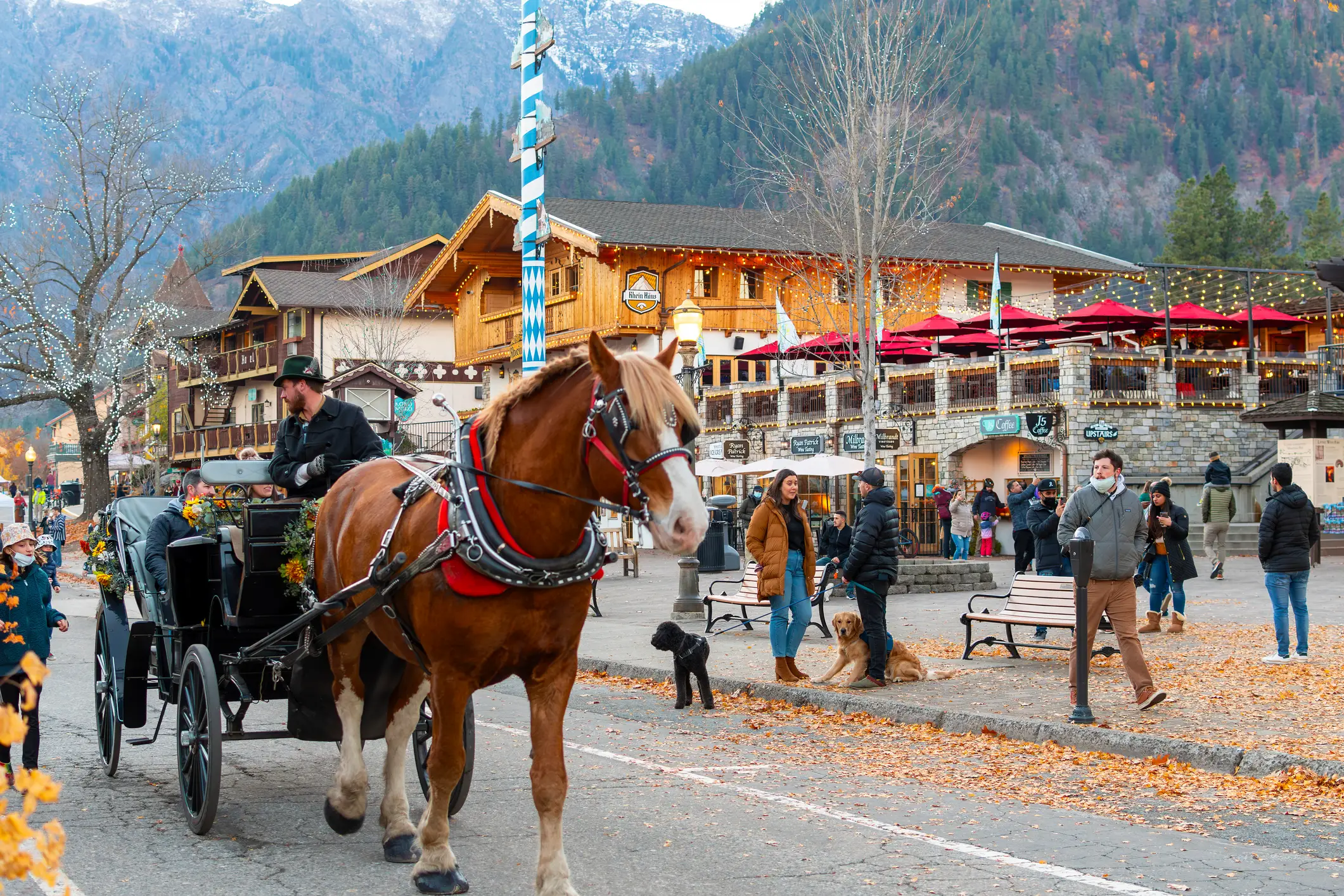 Horse going through Leavenworth Washington at early winter