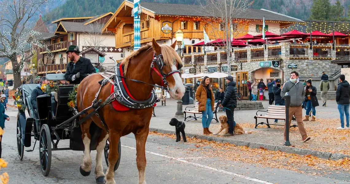 I’ve been to 3 Bavarian-style villages in the US. They’re charming, but just one made me feel like I was in Germany.