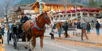 I’ve been to 3 Bavarian-style villages in the US. They’re charming, but just one made me feel like I was in Germany.