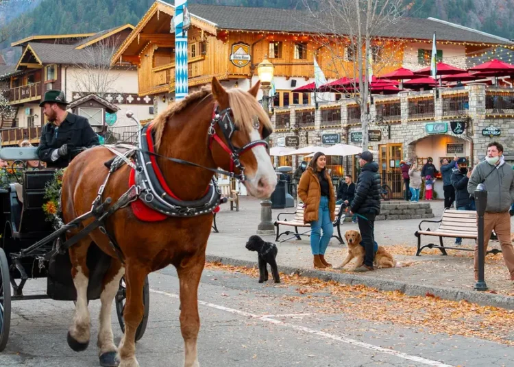 I’ve been to 3 Bavarian-style villages in the US. They’re charming, but just one made me feel like I was in Germany.