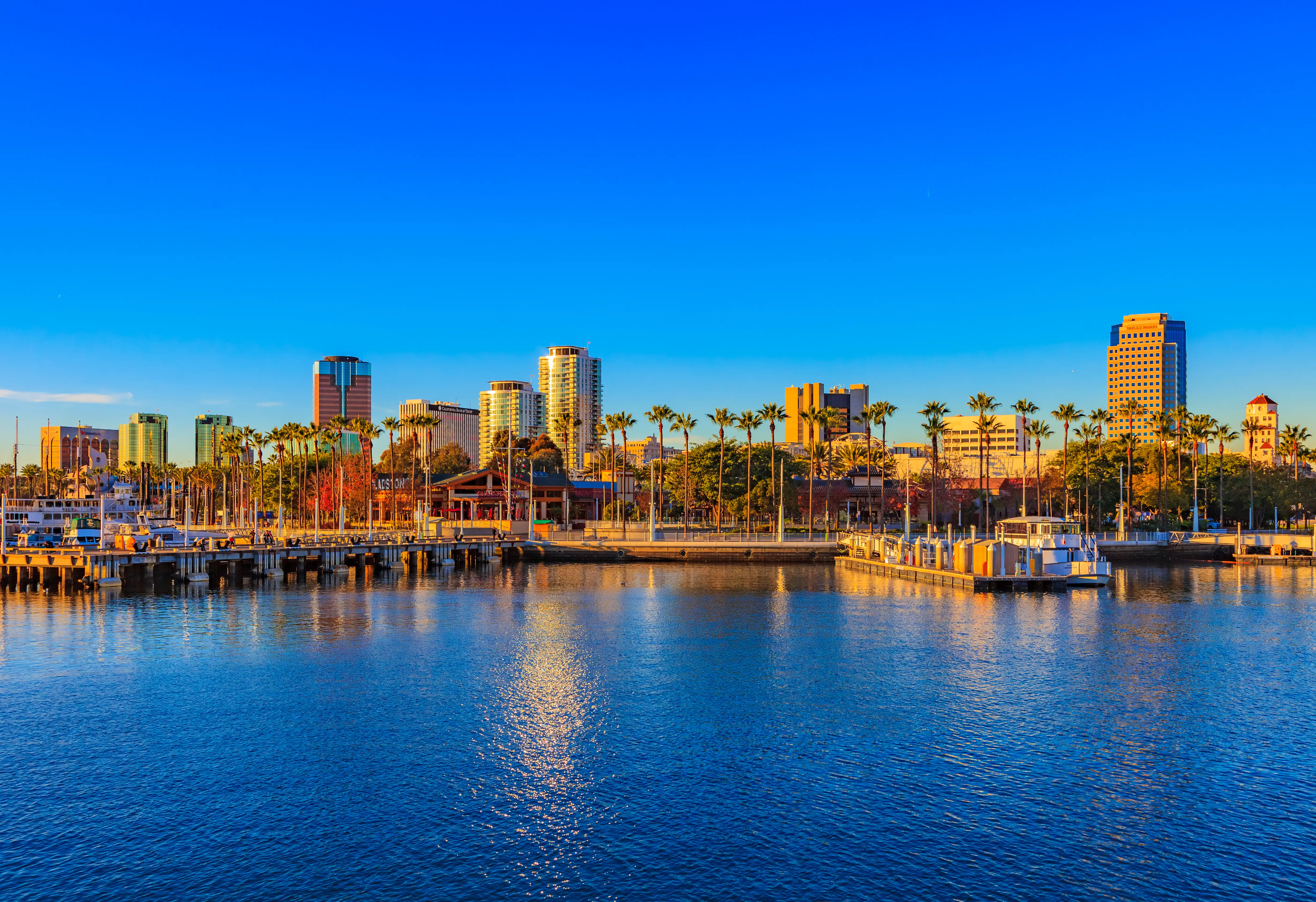 Waterfront city skyline with marina boats, palm trees, and reflections on calm blue water at sunset.