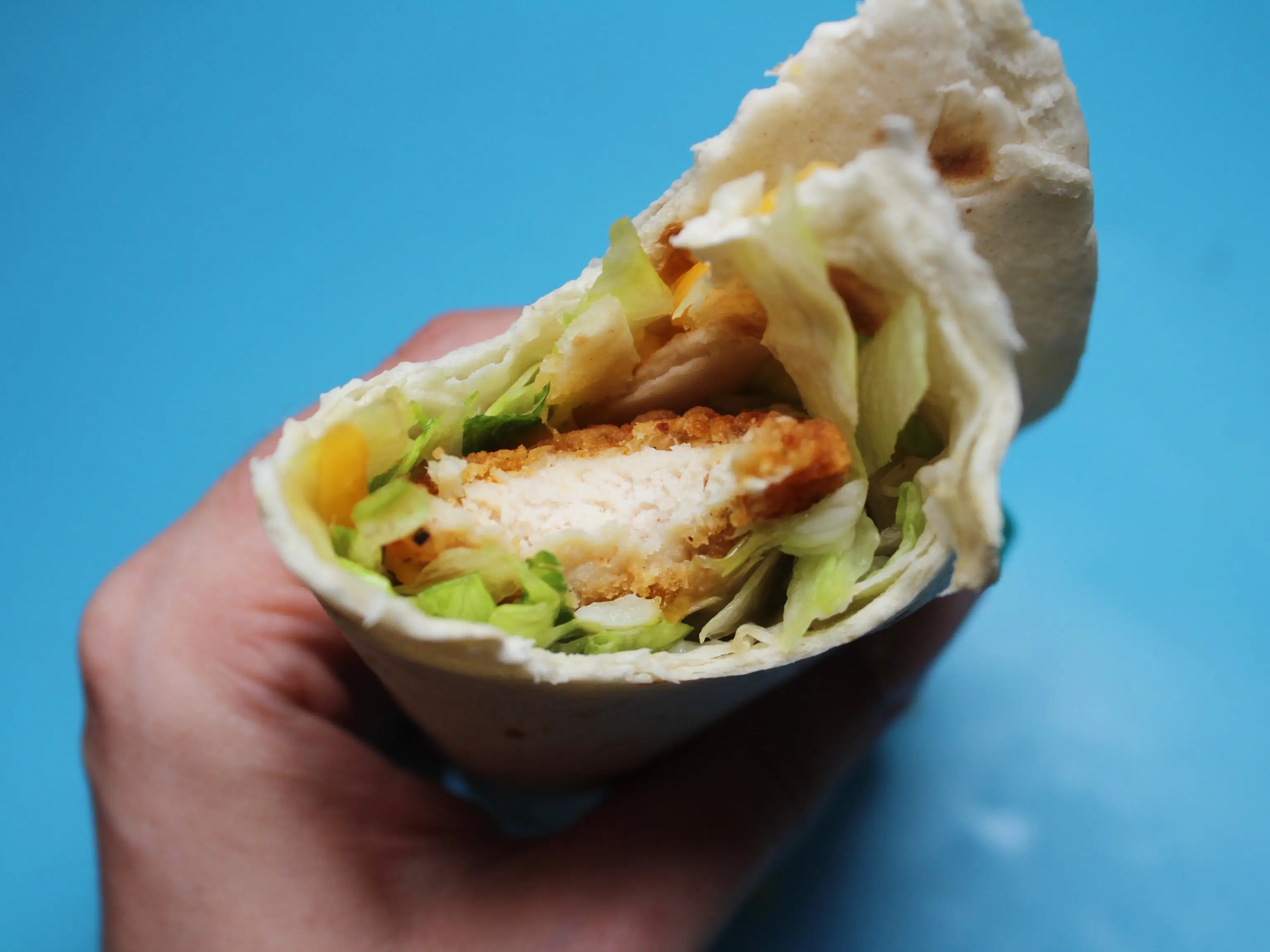 mcdonalds snack wrap