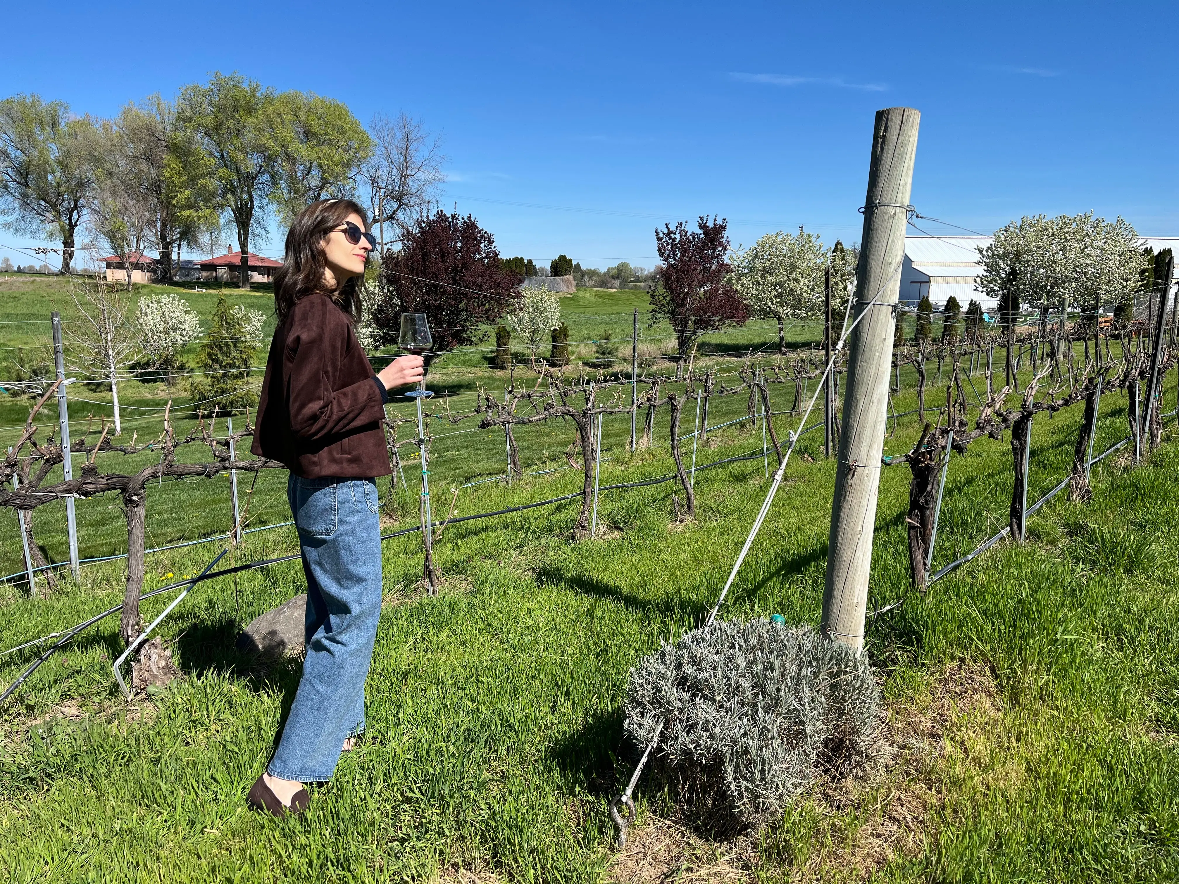 Woman standing in vineyard with wine glass