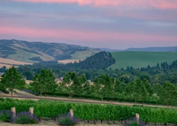 I thought Napa was the gold standard for wine trips. Then, a city in Washington changed what I look for in a vacation.