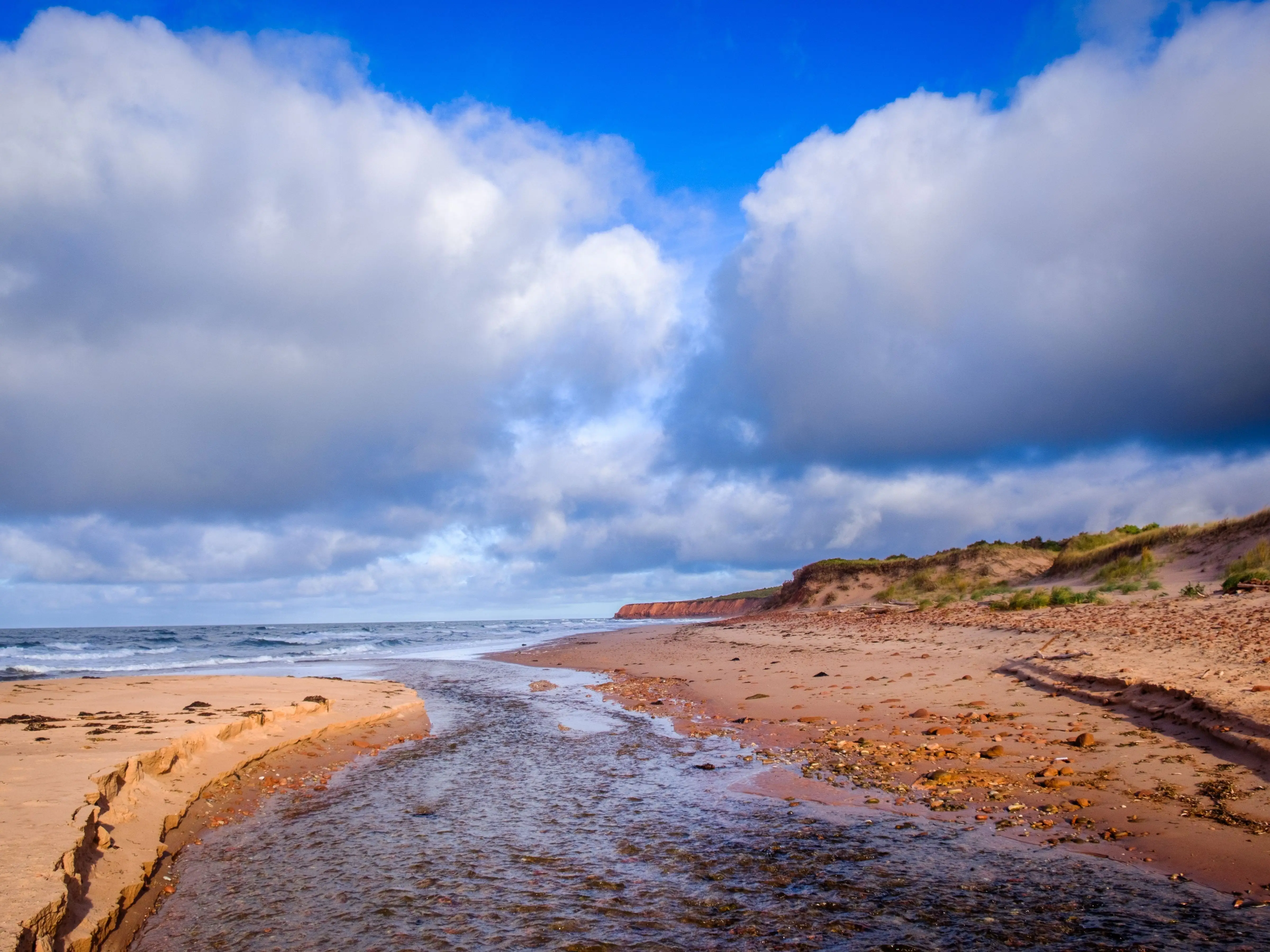 A beach.