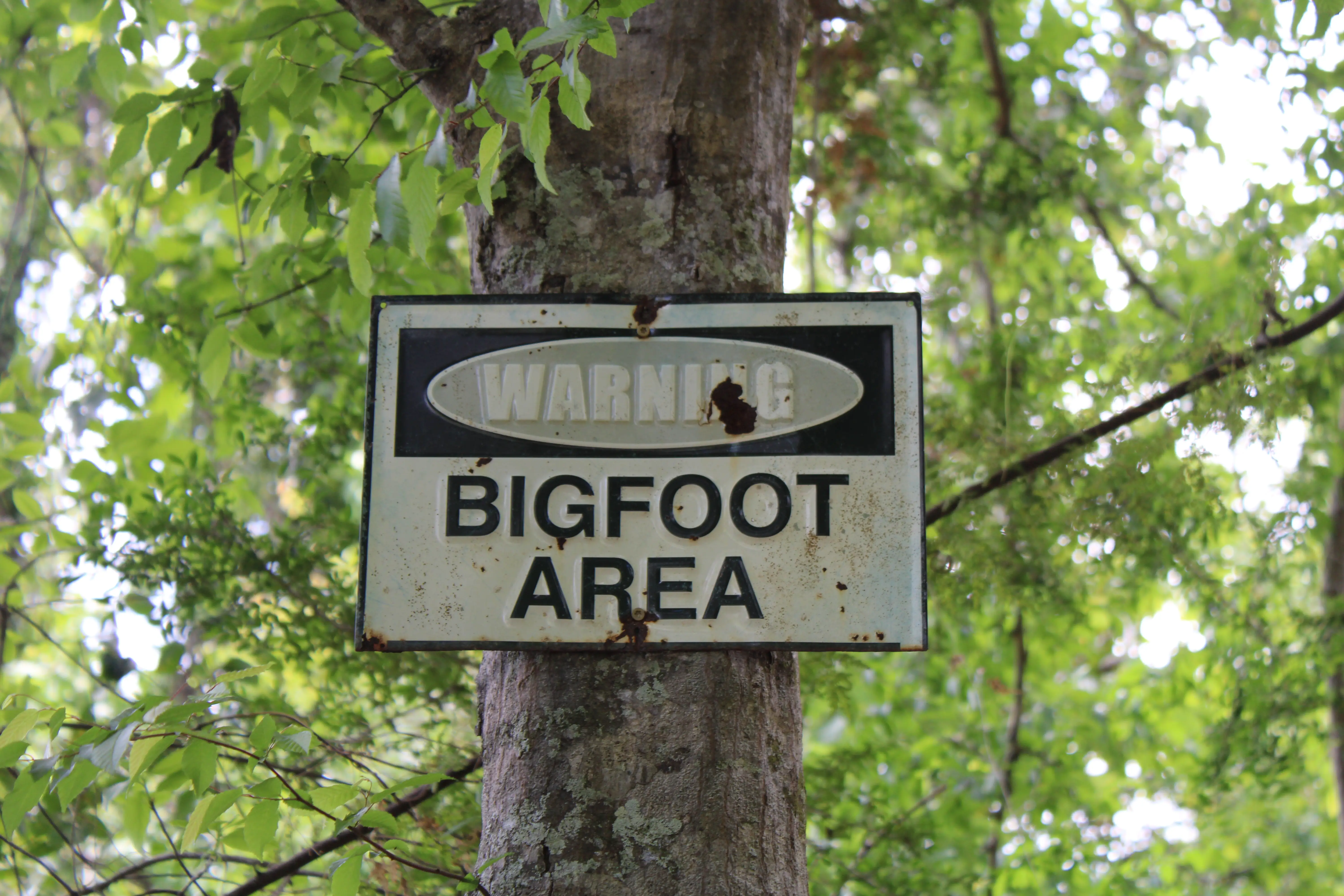 Big foot