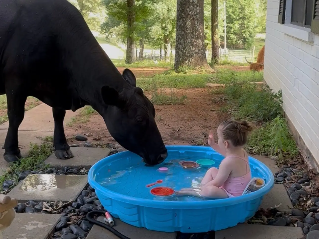 Baby with cow