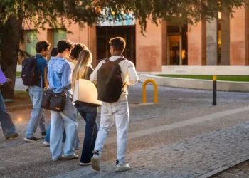 The 25 college majors that may be safest from AI, ranked