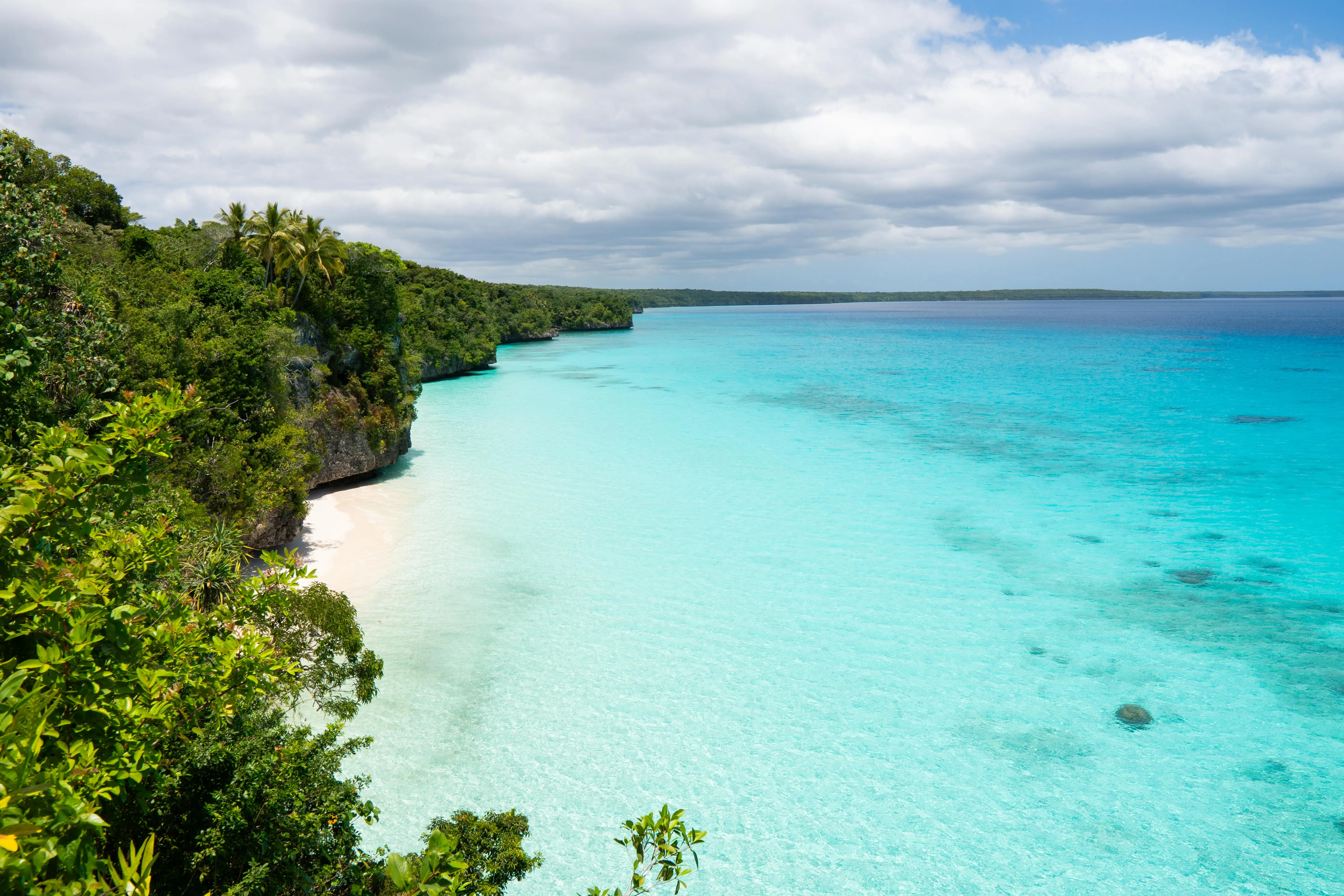 Aerial view of green trees, clear blue waters in Lifou, New Caledonia