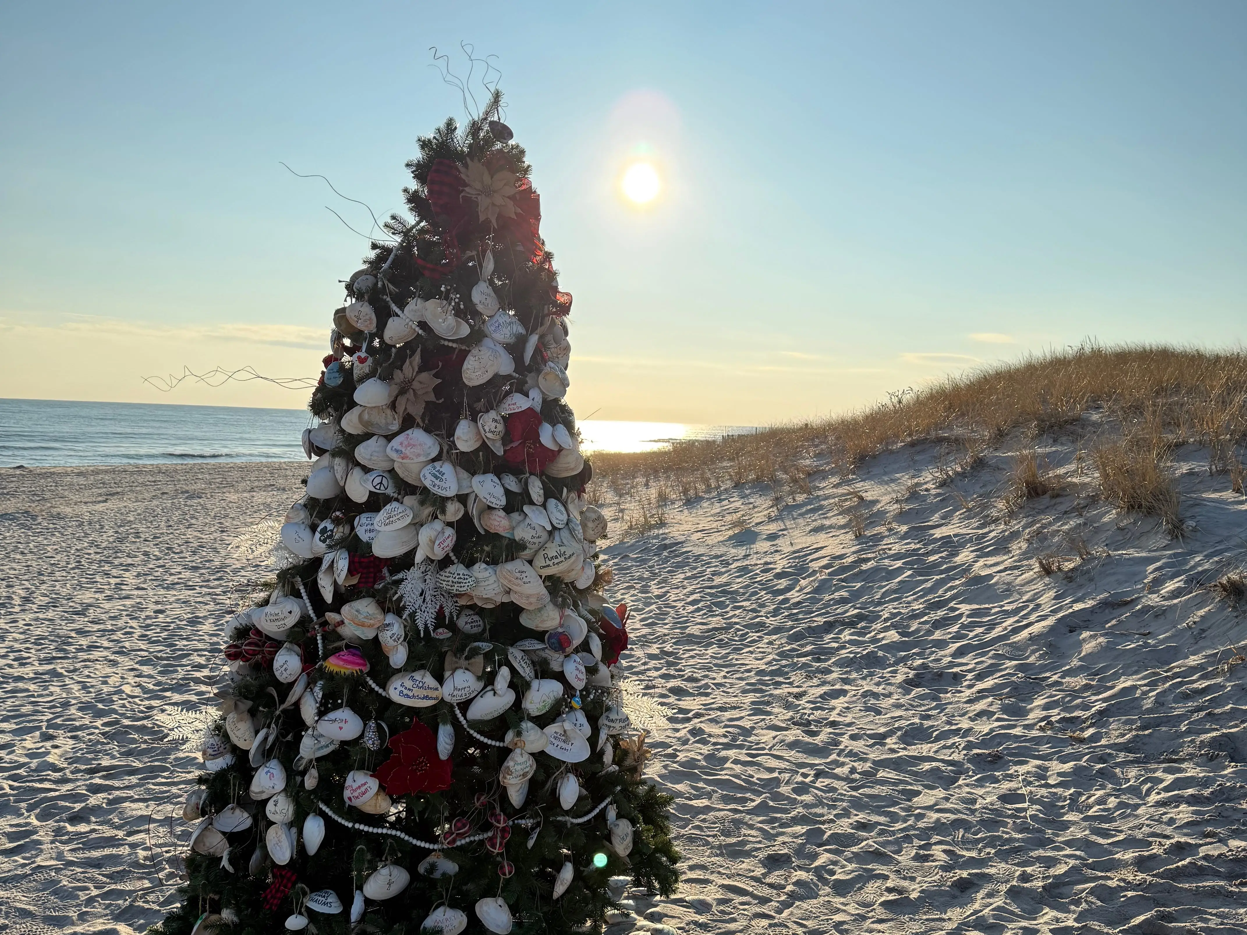 Decorated Christmas tree stands on a sandy beach beside dunes and ocean water in low sunlight in the Hamptons.