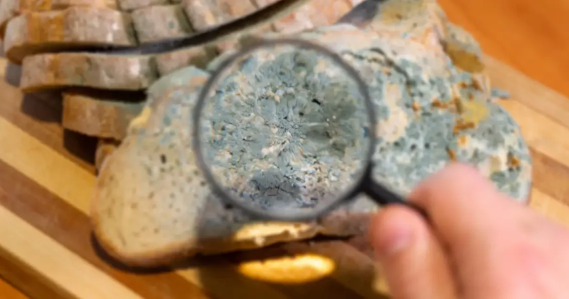 AI worms and ‘digital slime mold’: Welcome to the next AI nightmare fuel