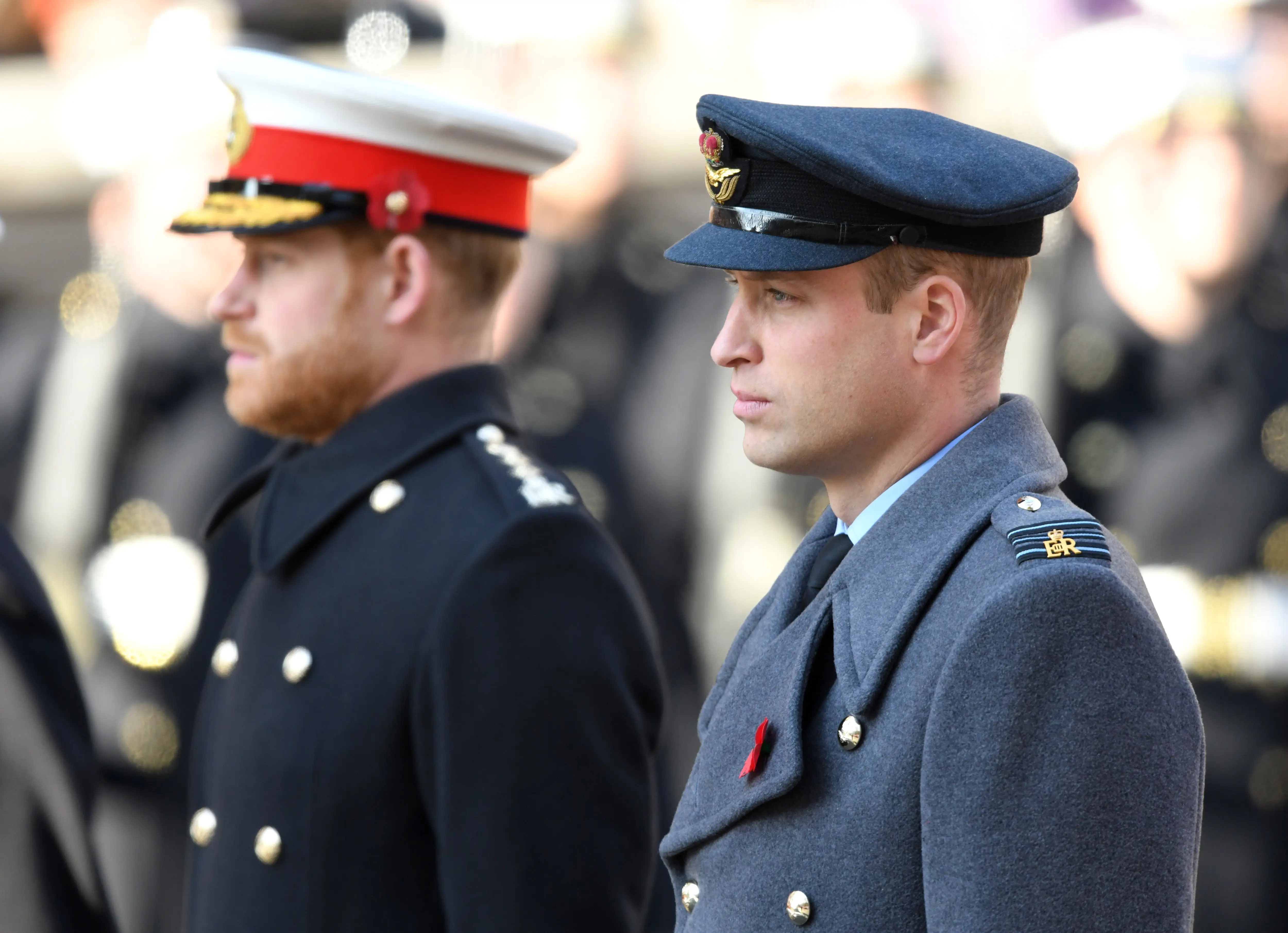Prince Harry and Prince William stand in military uniforms with red poppy pins during a formal outdoor ceremony.