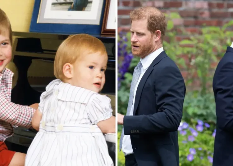Photos show how Prince Harry and Prince William’s relationship has changed through the years