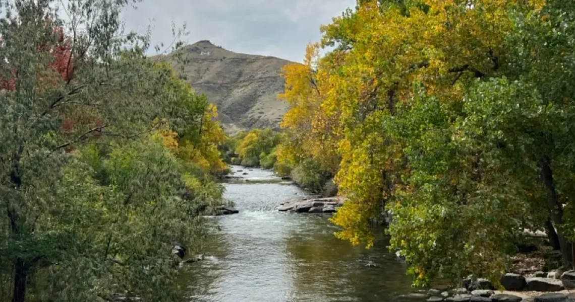 I’m a Colorado local. If I had one day to show you my state, I’d skip Denver and take you to a city just west of it.
