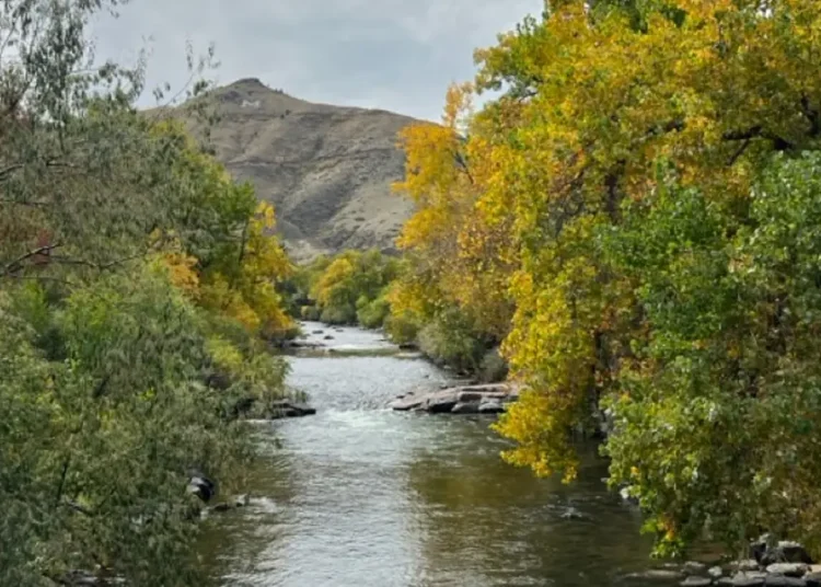 I’m a Colorado local. If I had one day to show you my state, I’d skip Denver and take you to a city just west of it.