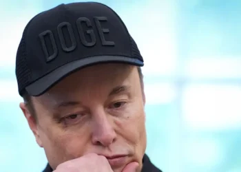 Judge says Elon Musk engaged in ‘little more than state sanctioned intimidation’ when he accused a DHS official of a crime