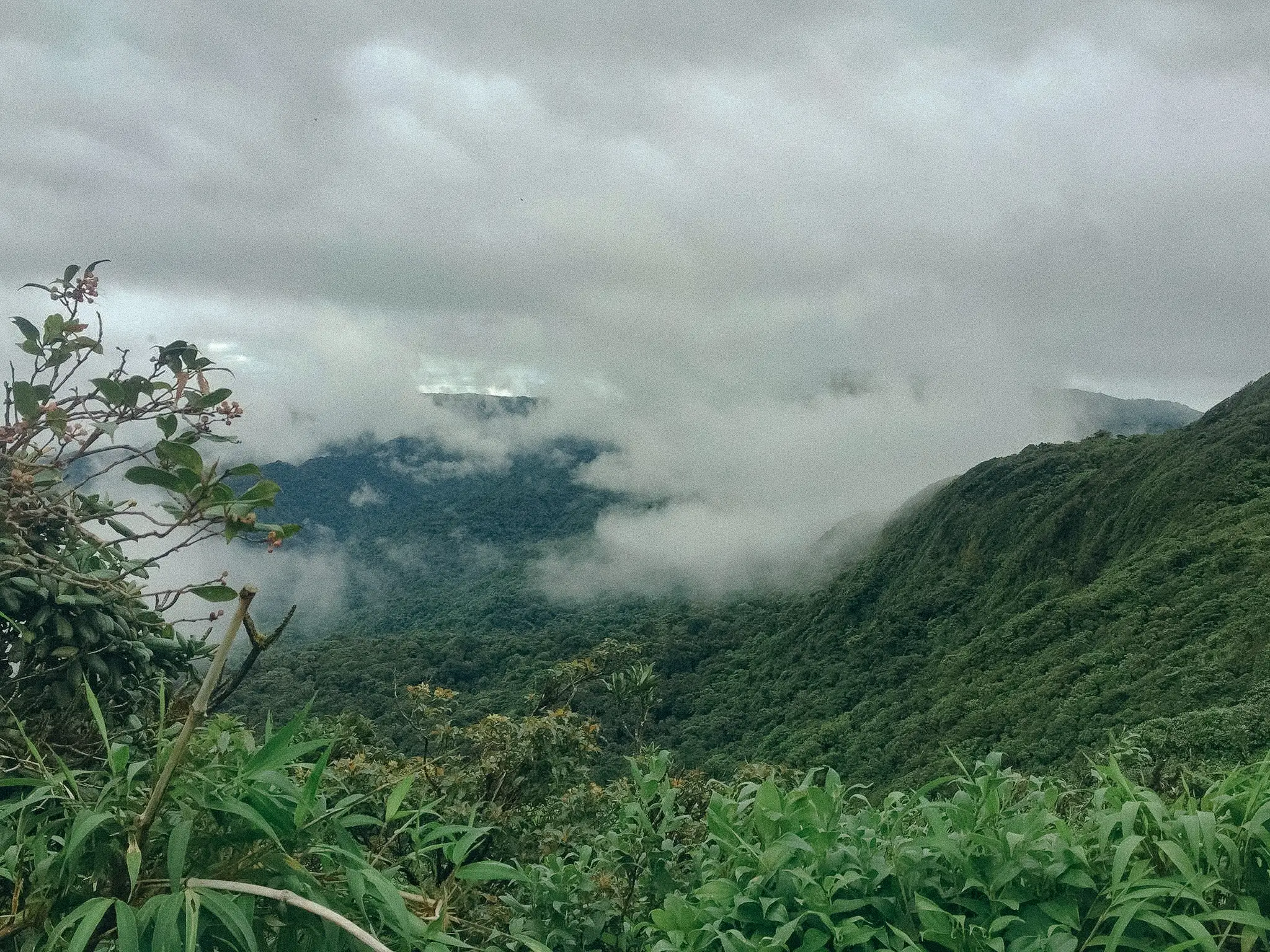 Rolling green hills covered in dense clouds.