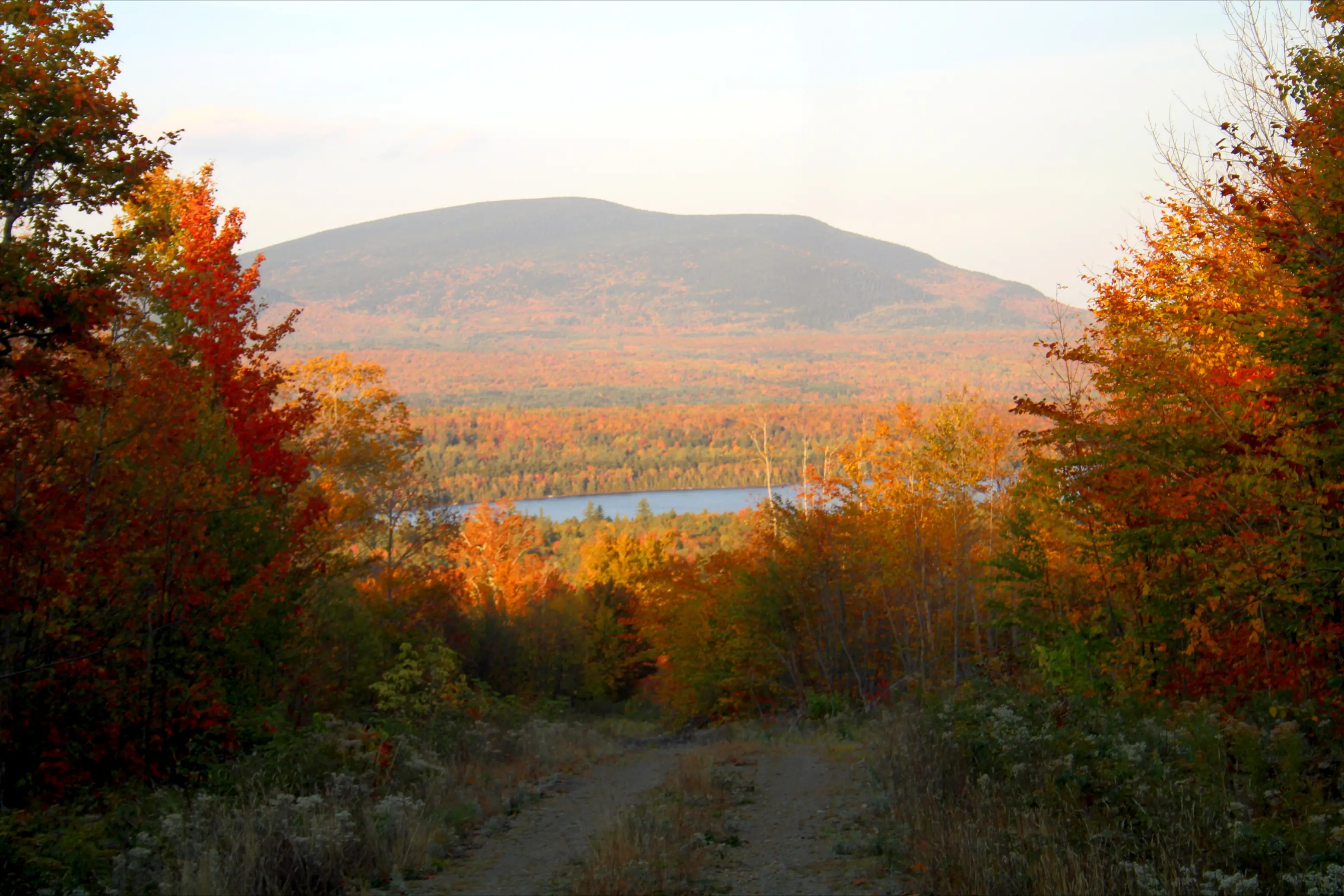 Autumn foliage frames a dirt path overlooking a lake and broad mountain under a pale sky.