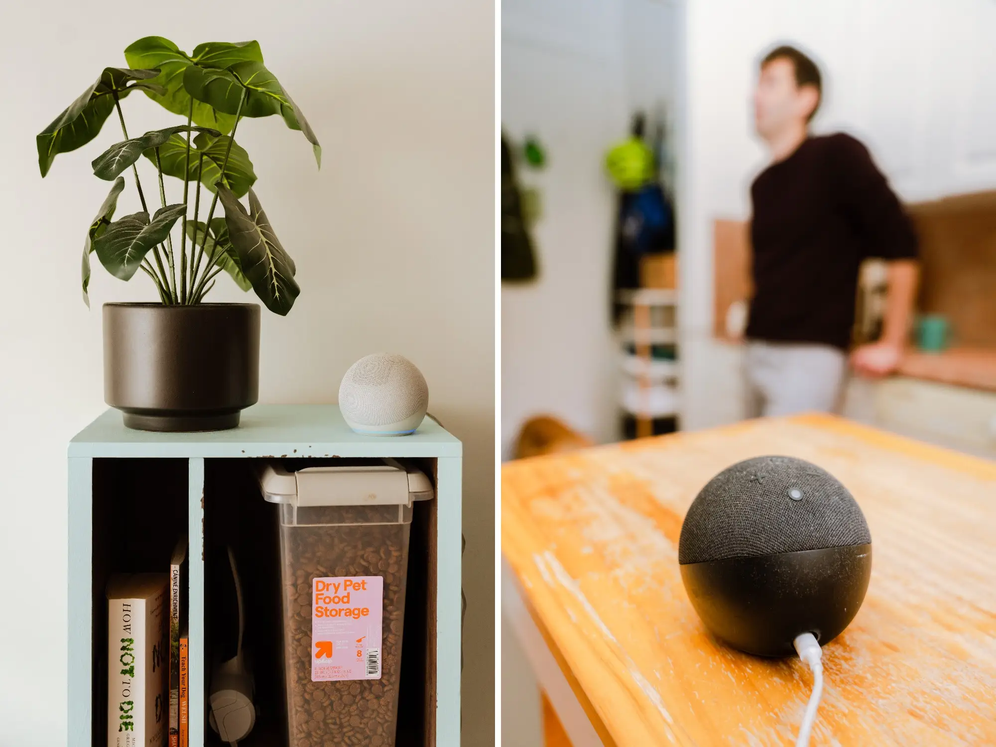 Smart speakers sit beside a potted plant on a shelf and on a kitchen table with a blurred person behind.