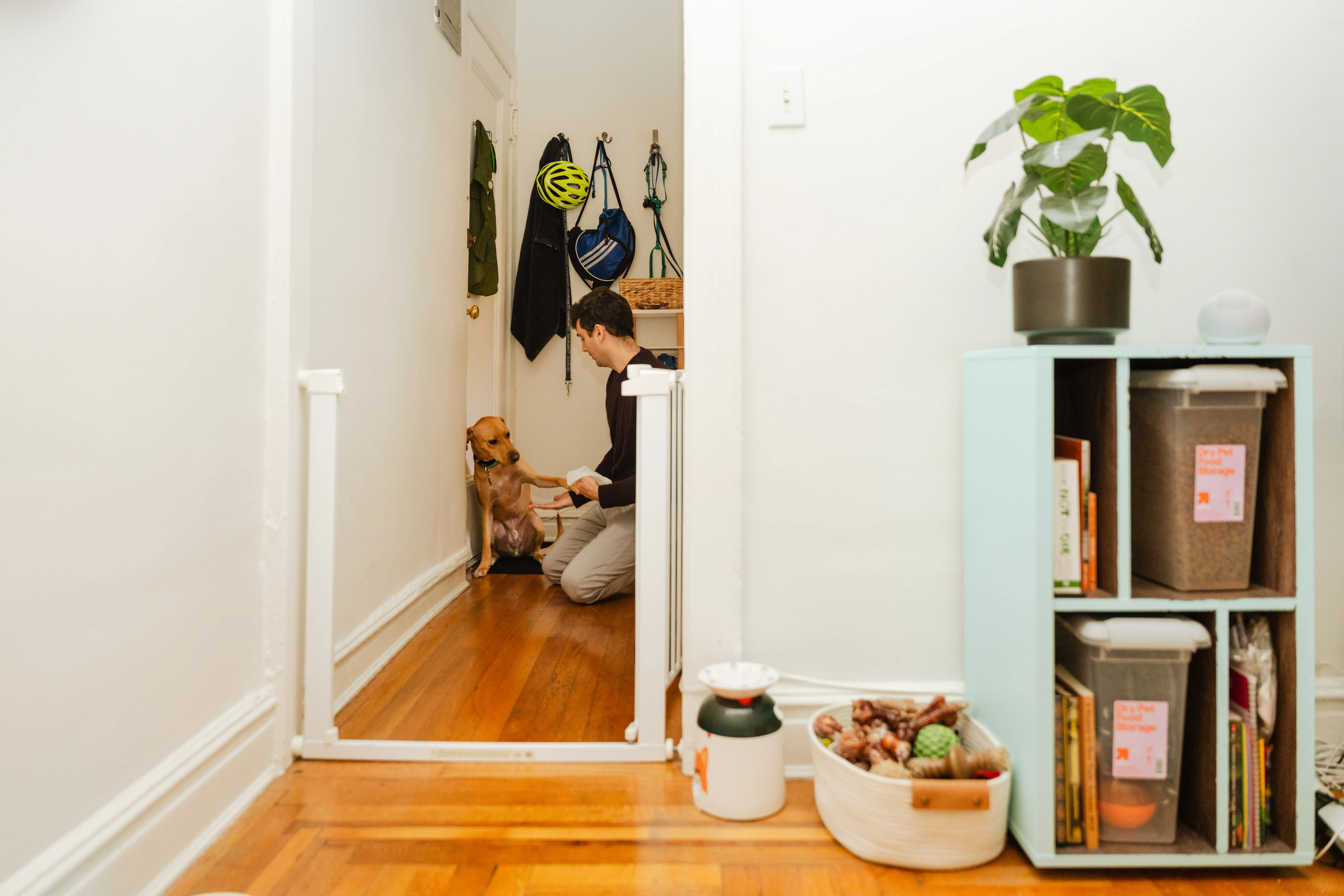 Person kneels by a dog in a hallway behind a white gate, with pet supplies and shelving nearby.