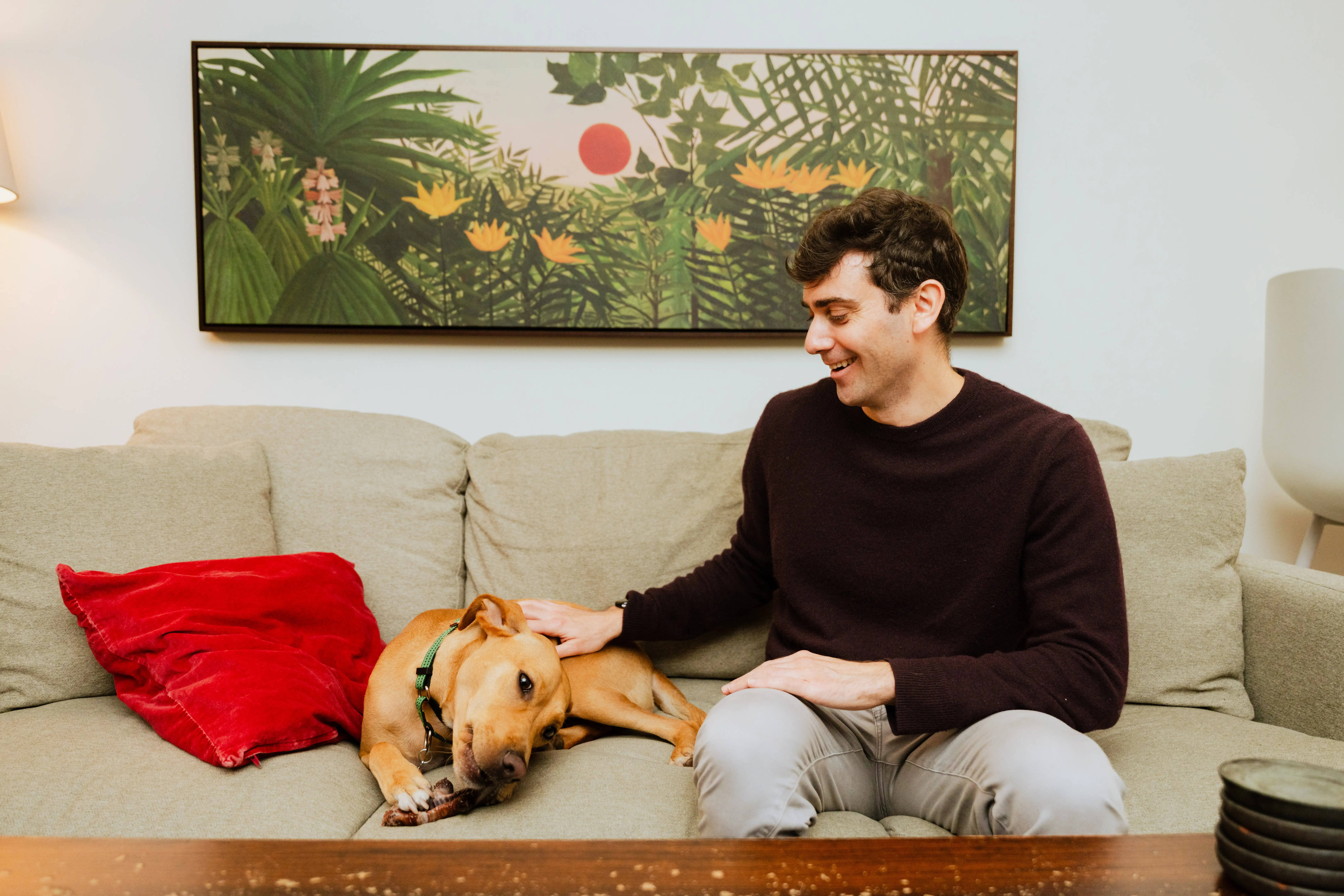 Person sits on a beige sofa petting a resting brown dog beneath tropical wall art.