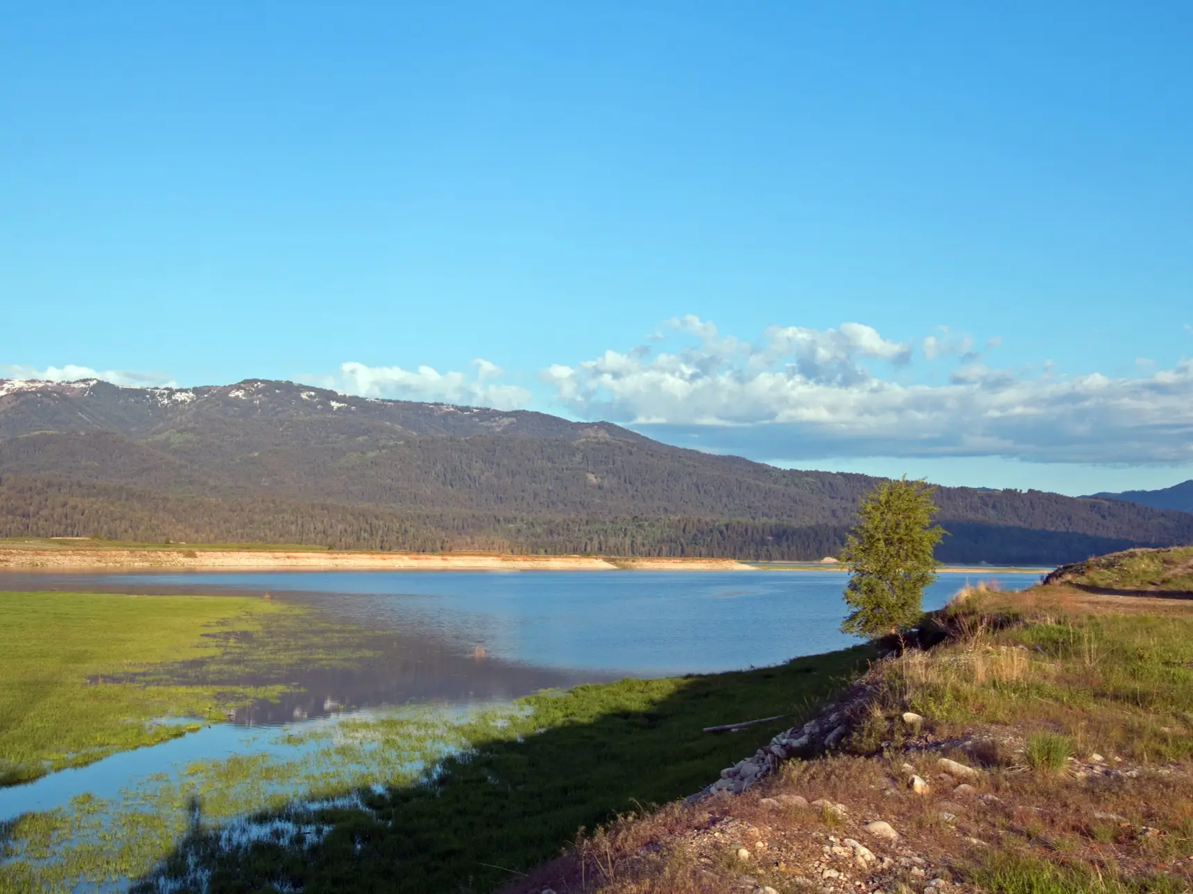 A calm mountain lake bordered by grassy wetlands and forested hills under a clear blue sky.