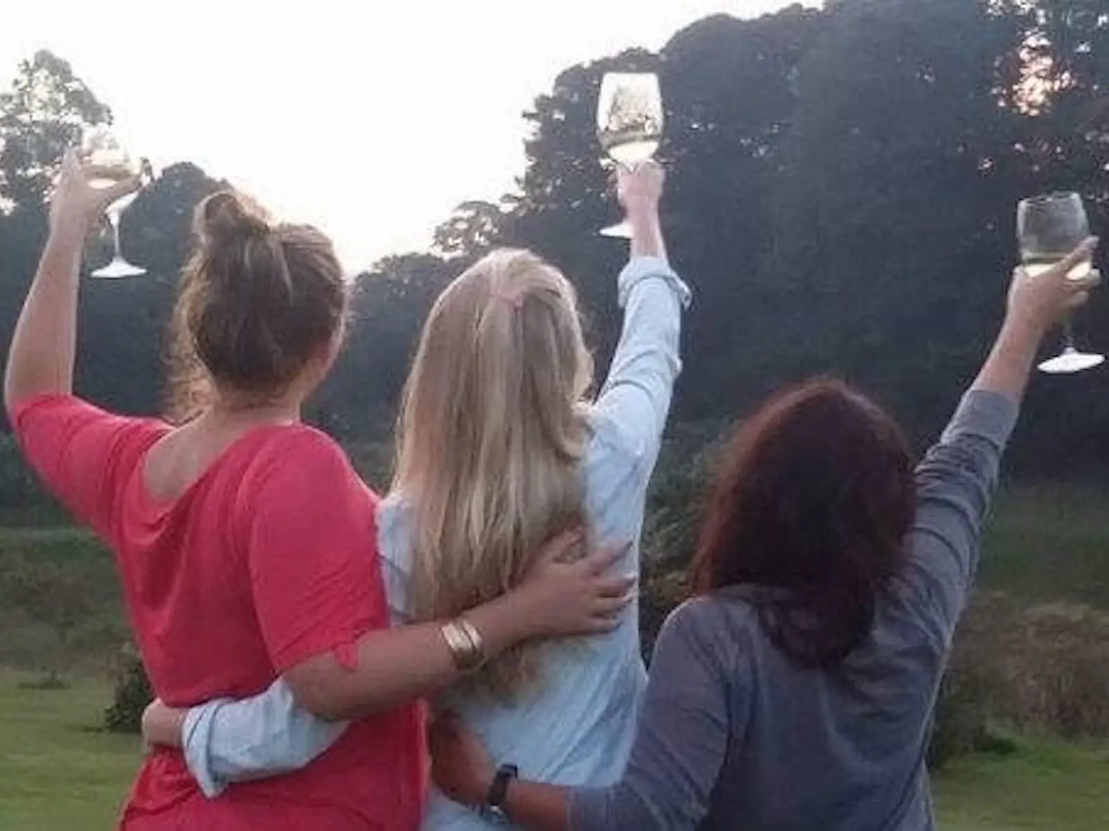 Three people stand arm in arm outdoors, raising wine glasses toward a tree-lined landscape at dusk.