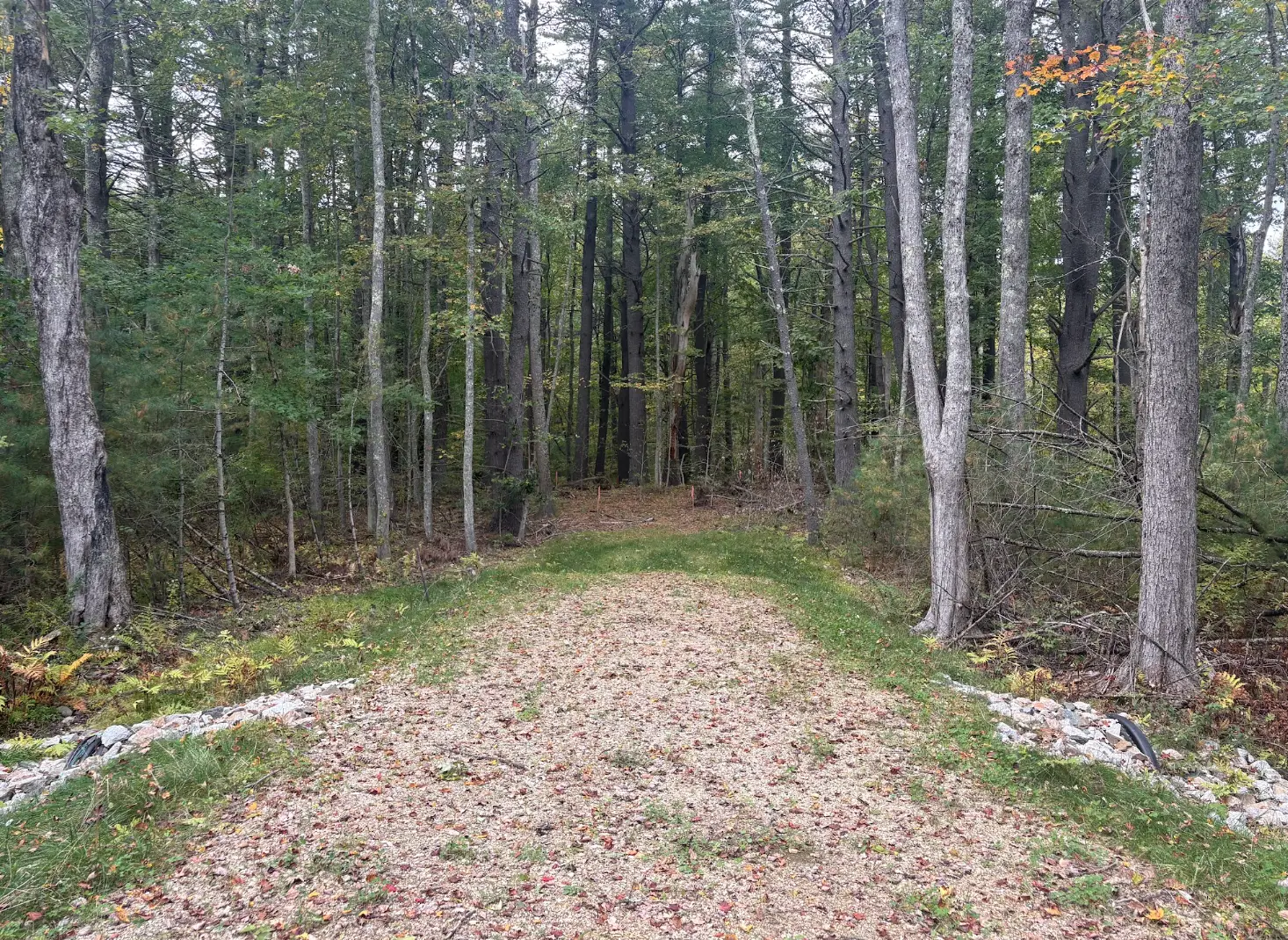 A gravel path leads into a dense wooded forest with tall trees and early autumn leaves.