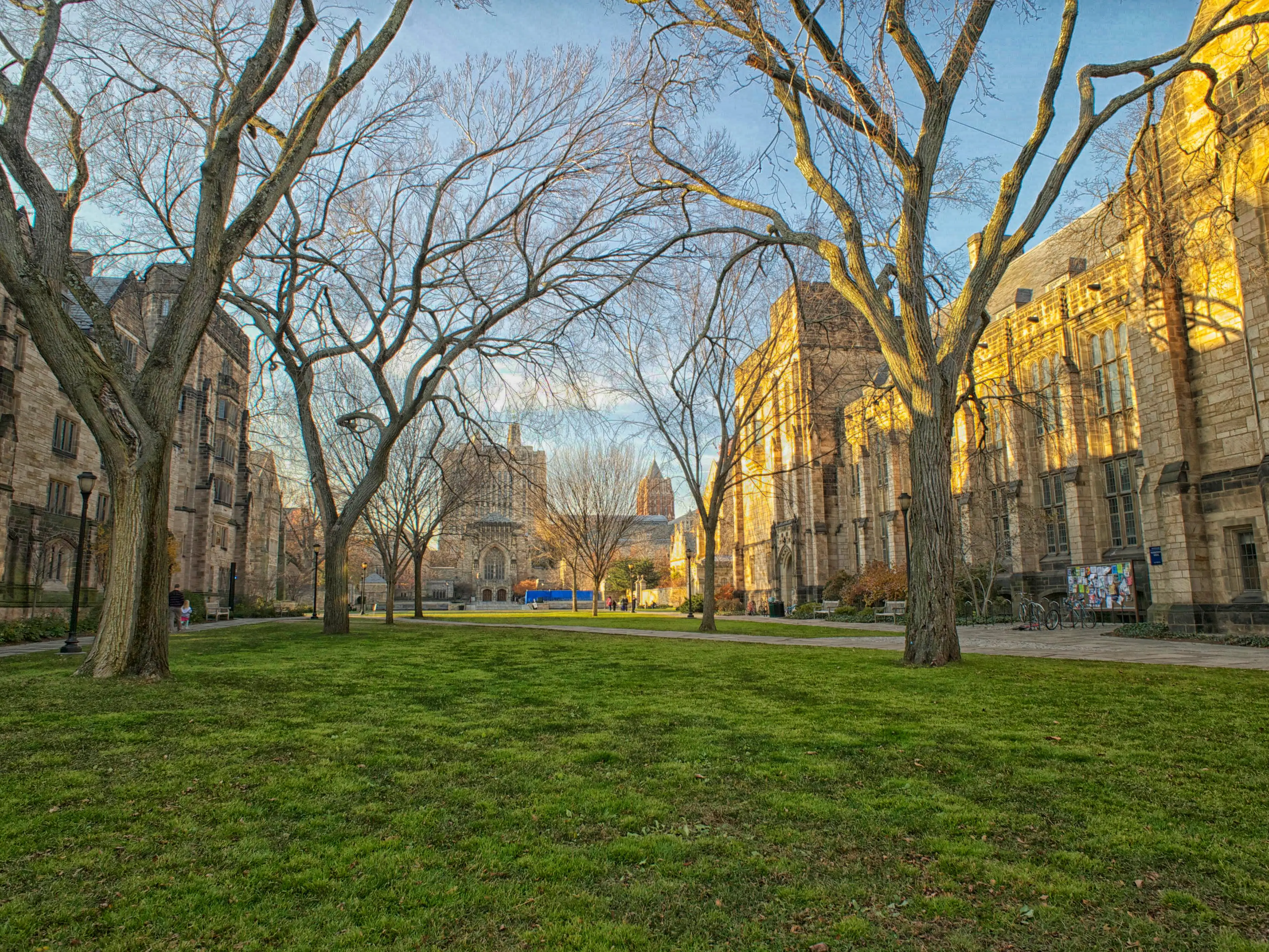 A college campus.