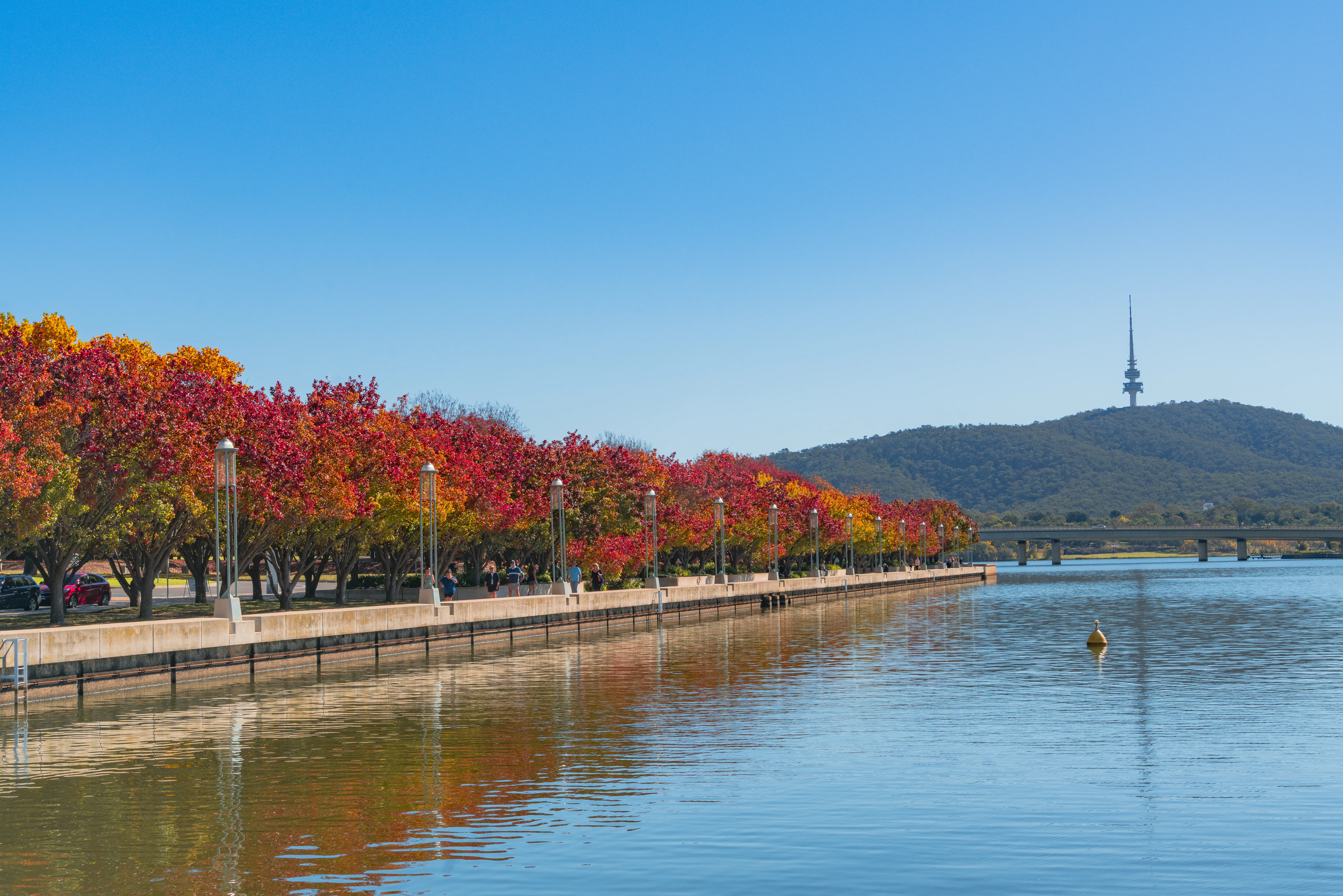 Autumn-colored trees line a lakeside promenade with Black Mountain Tower visible across the water.