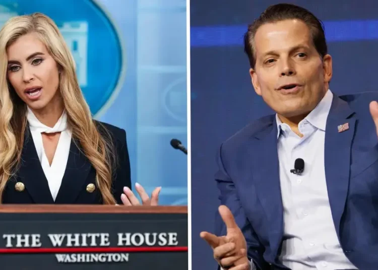 The new White House press secretary is out, and Anthony Scaramucci has thoughts